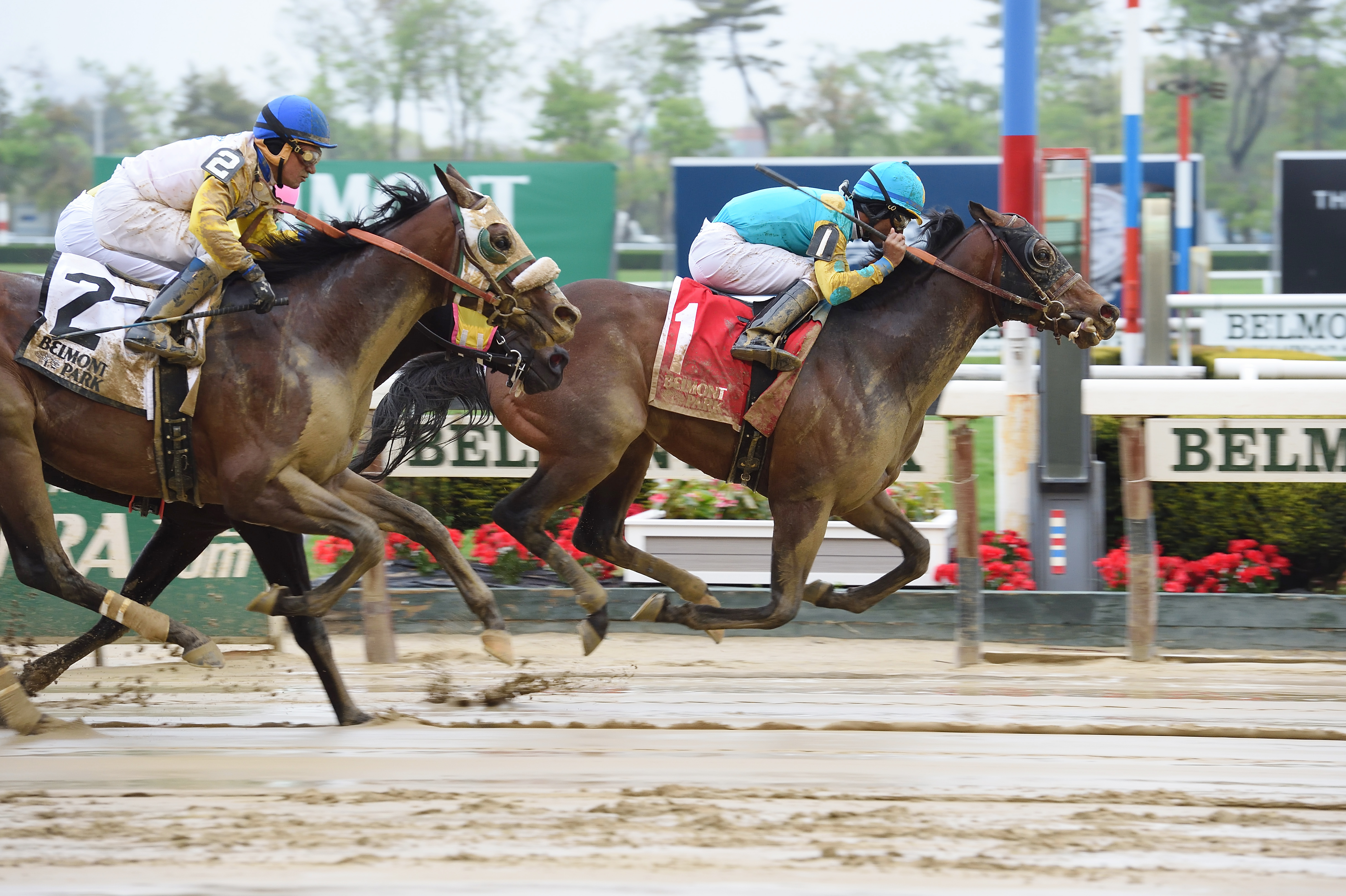 King Kranz wins the Gold Fever Stakes