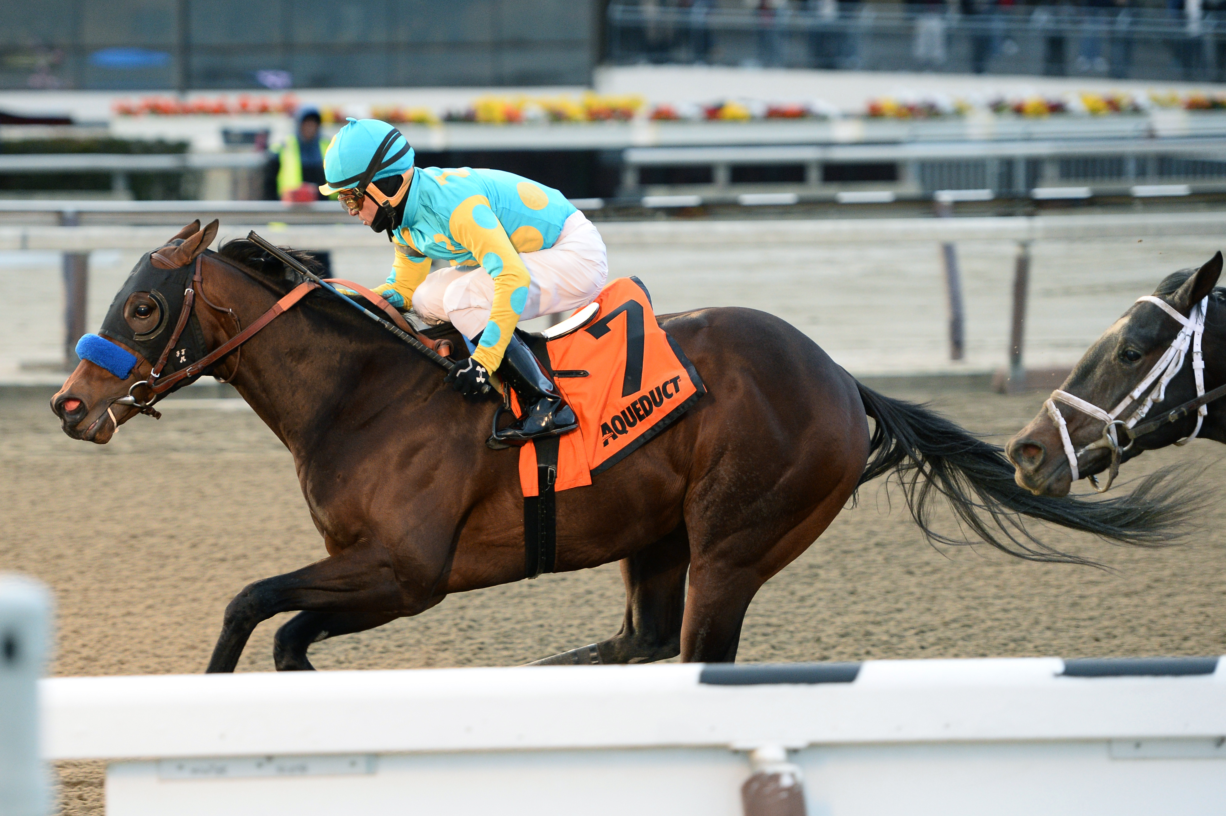 King Kranz wins the Lost in the Fog Stakes