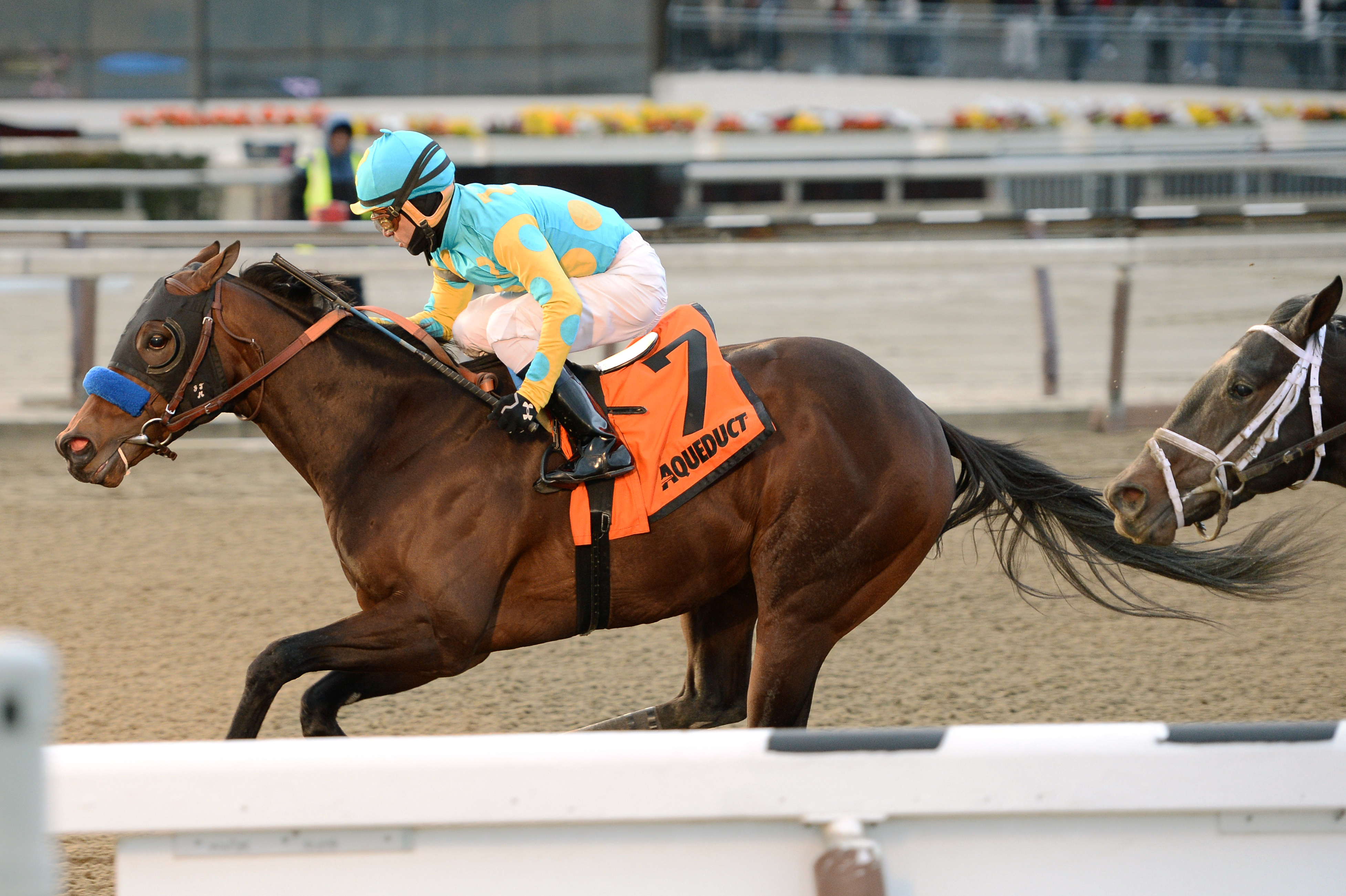 King Kranzs wins the Lost In The Fog Stakes