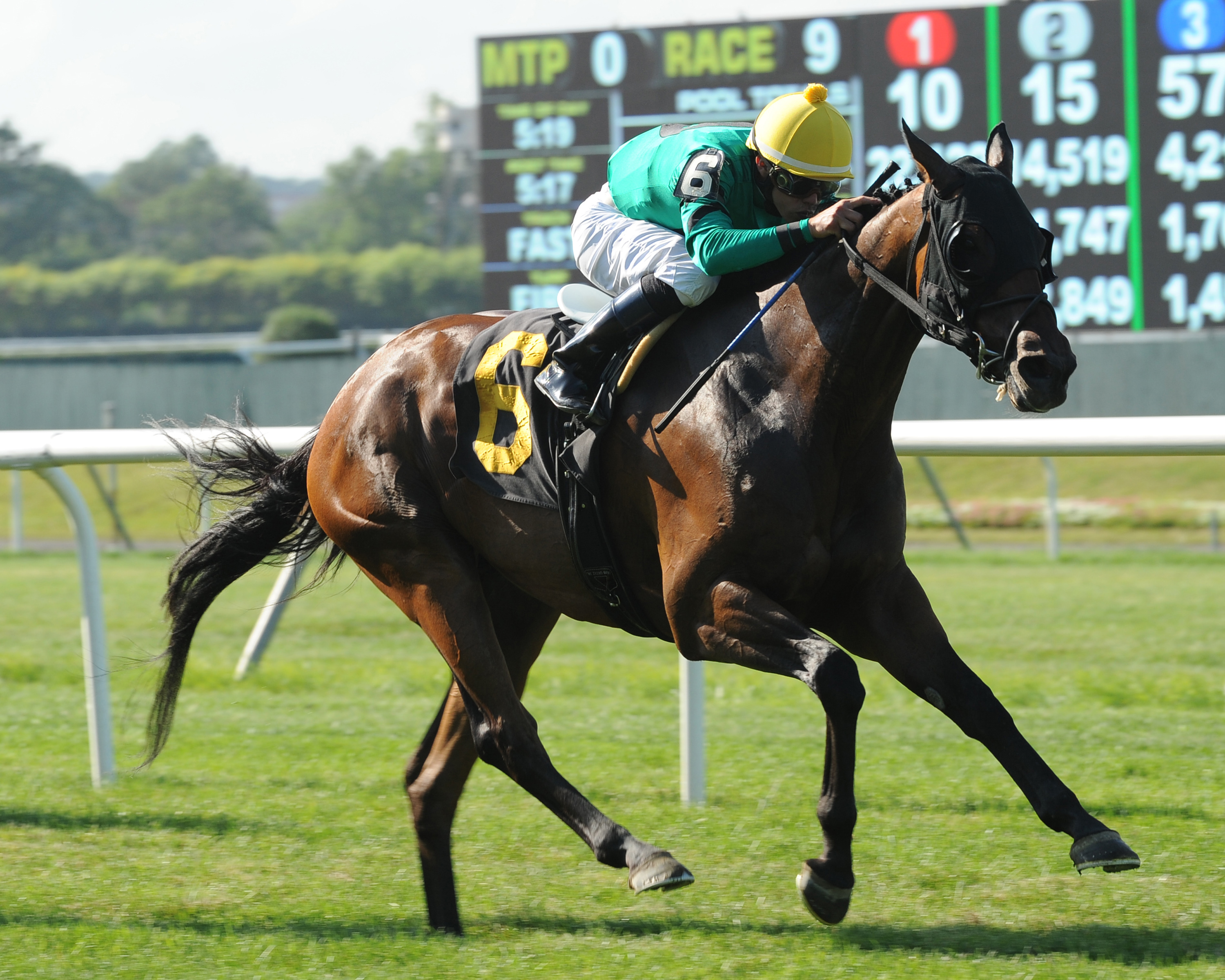 King Kreesa, Poker Stakes