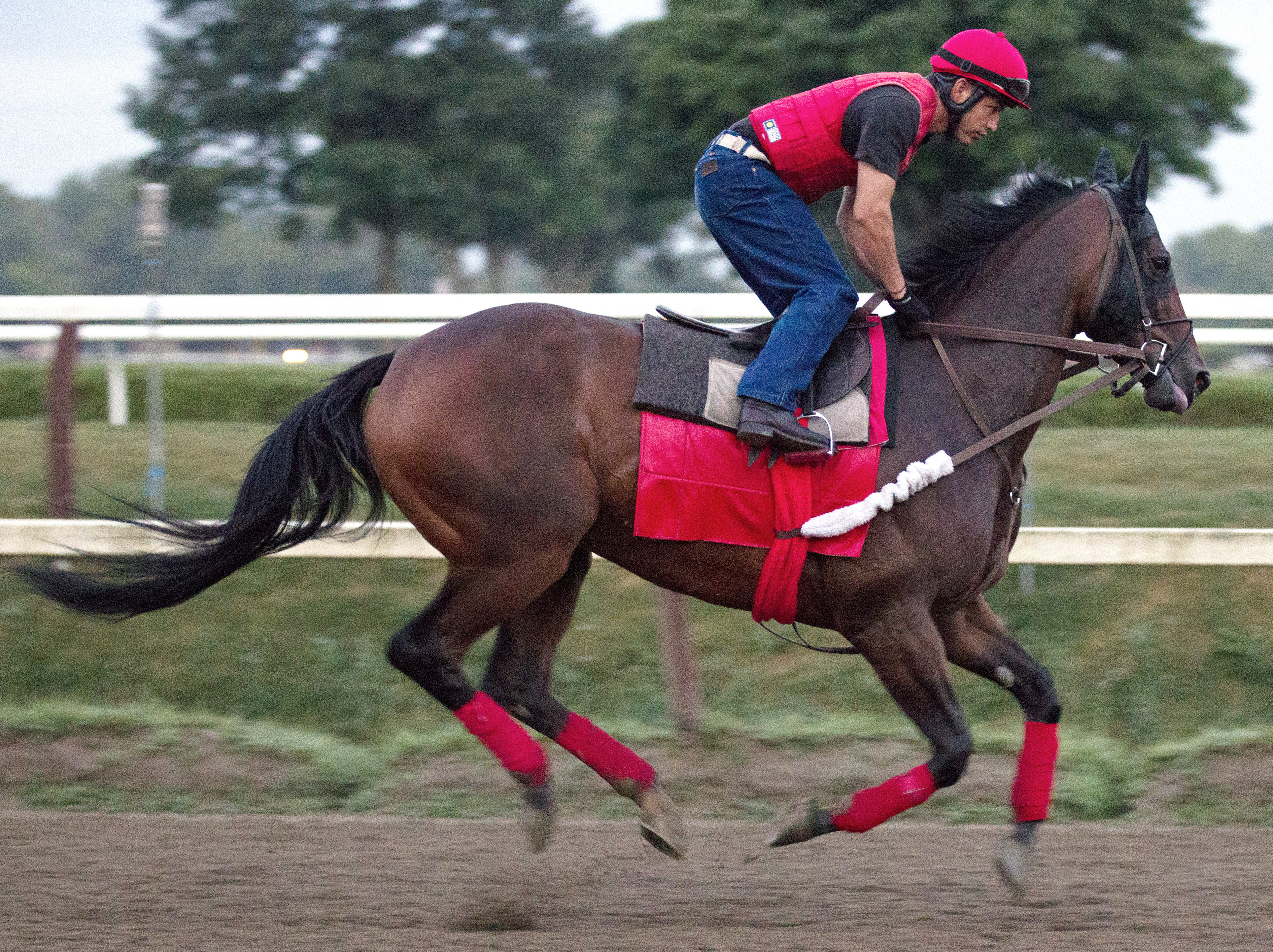 King Kreesa at Saratoga on Aug. 14