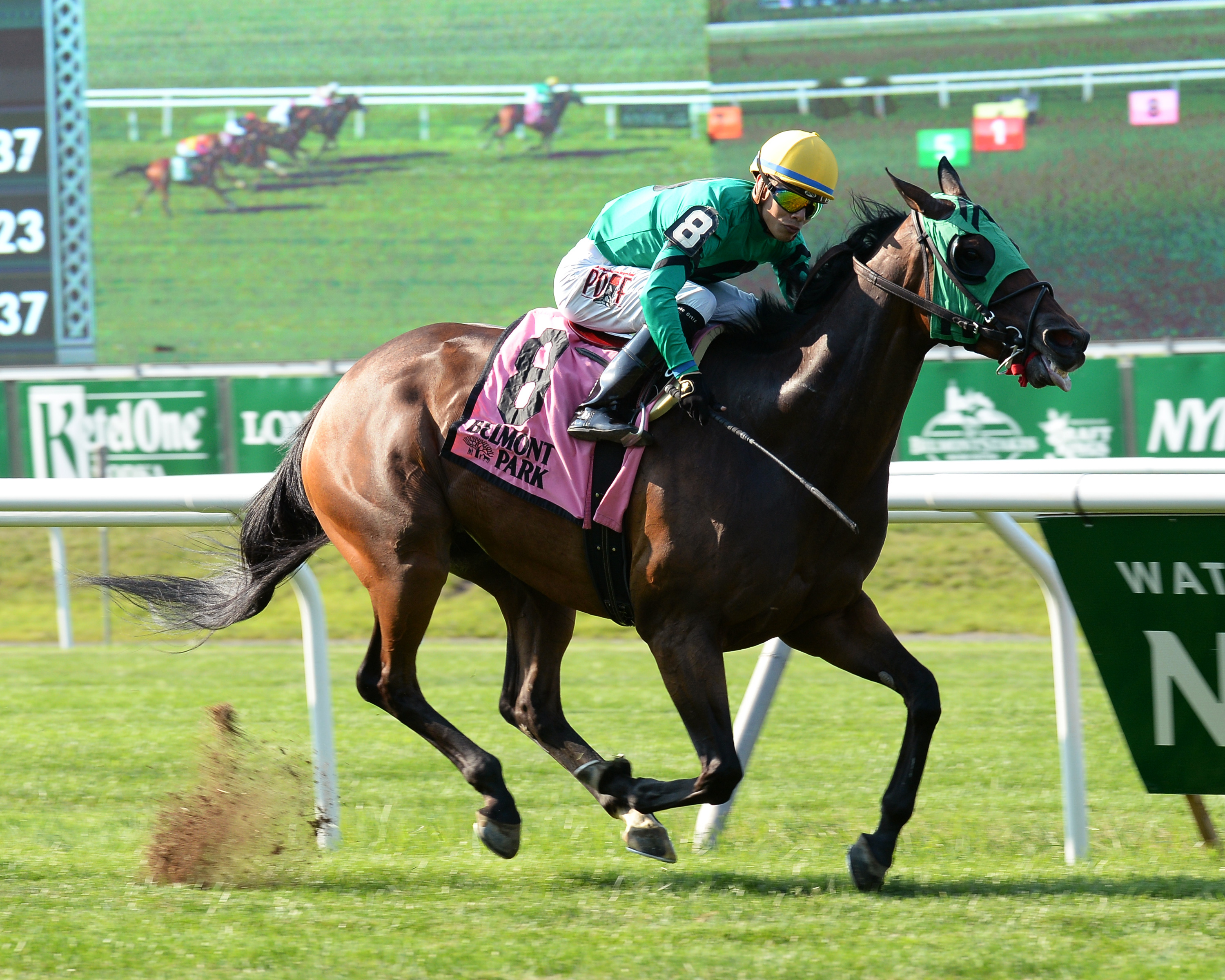 King Kreesa wins the Forbidden Apple