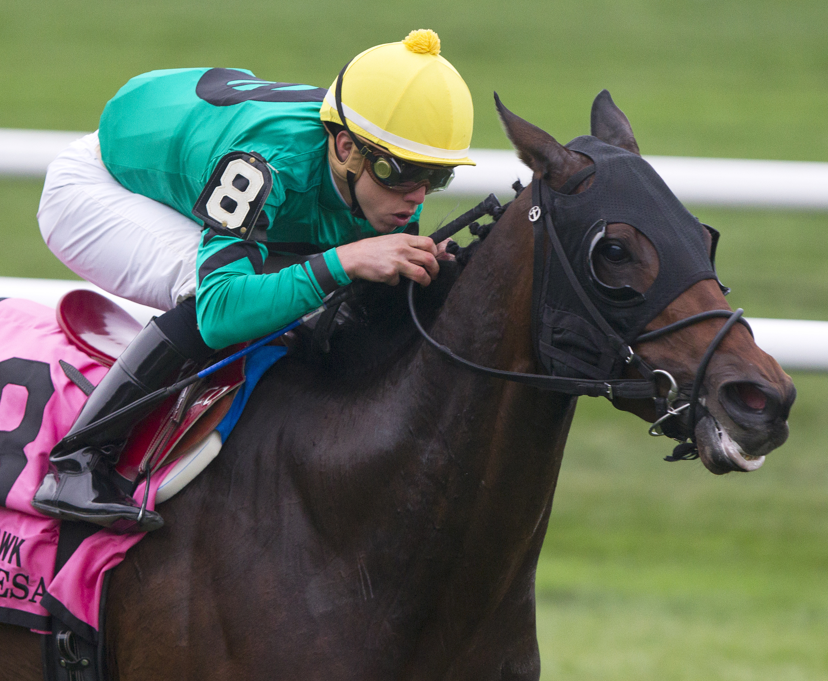 King Kreesa wins the Mohawk Stakes