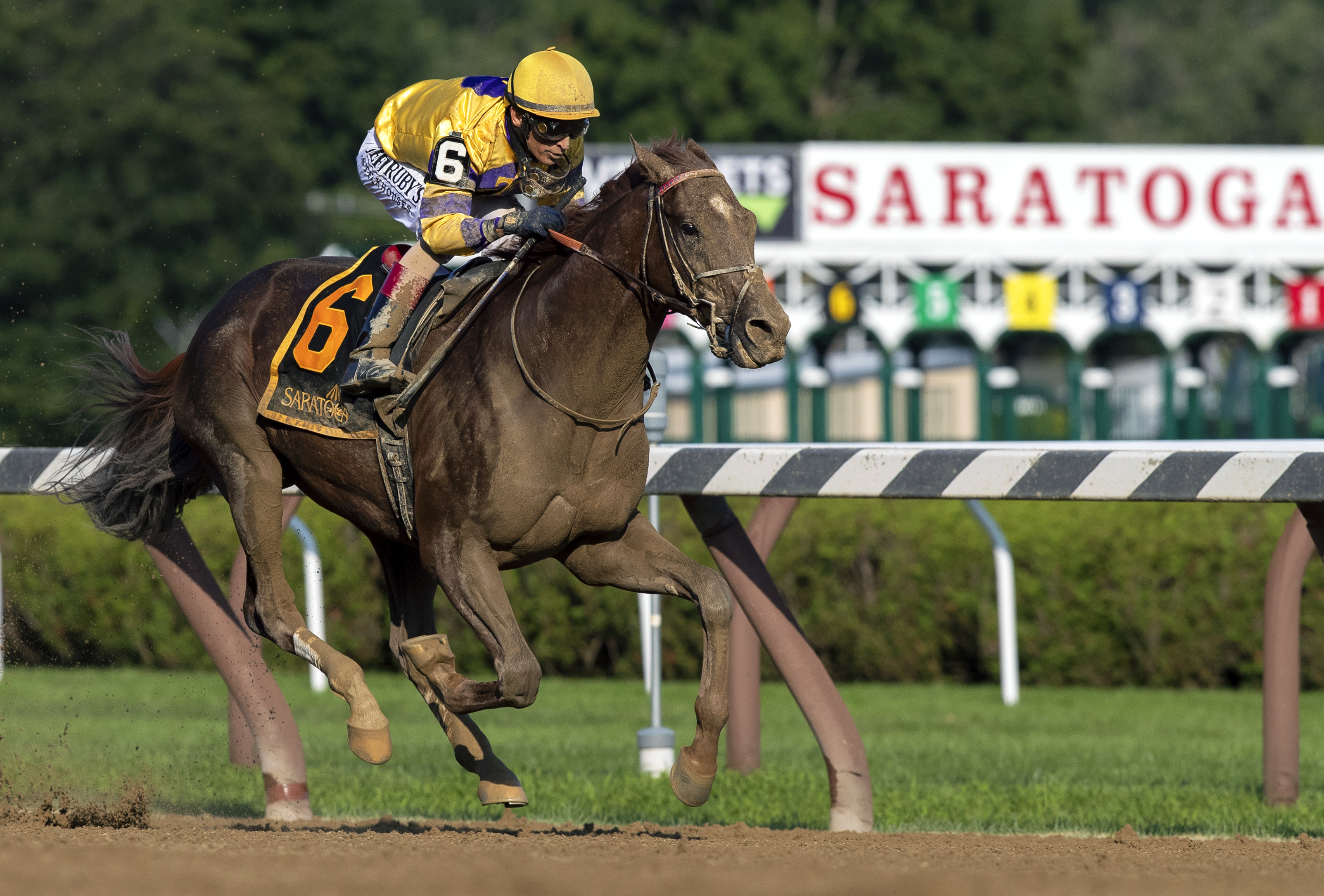 King Zachary wins the 2019 Birdstone Stakes