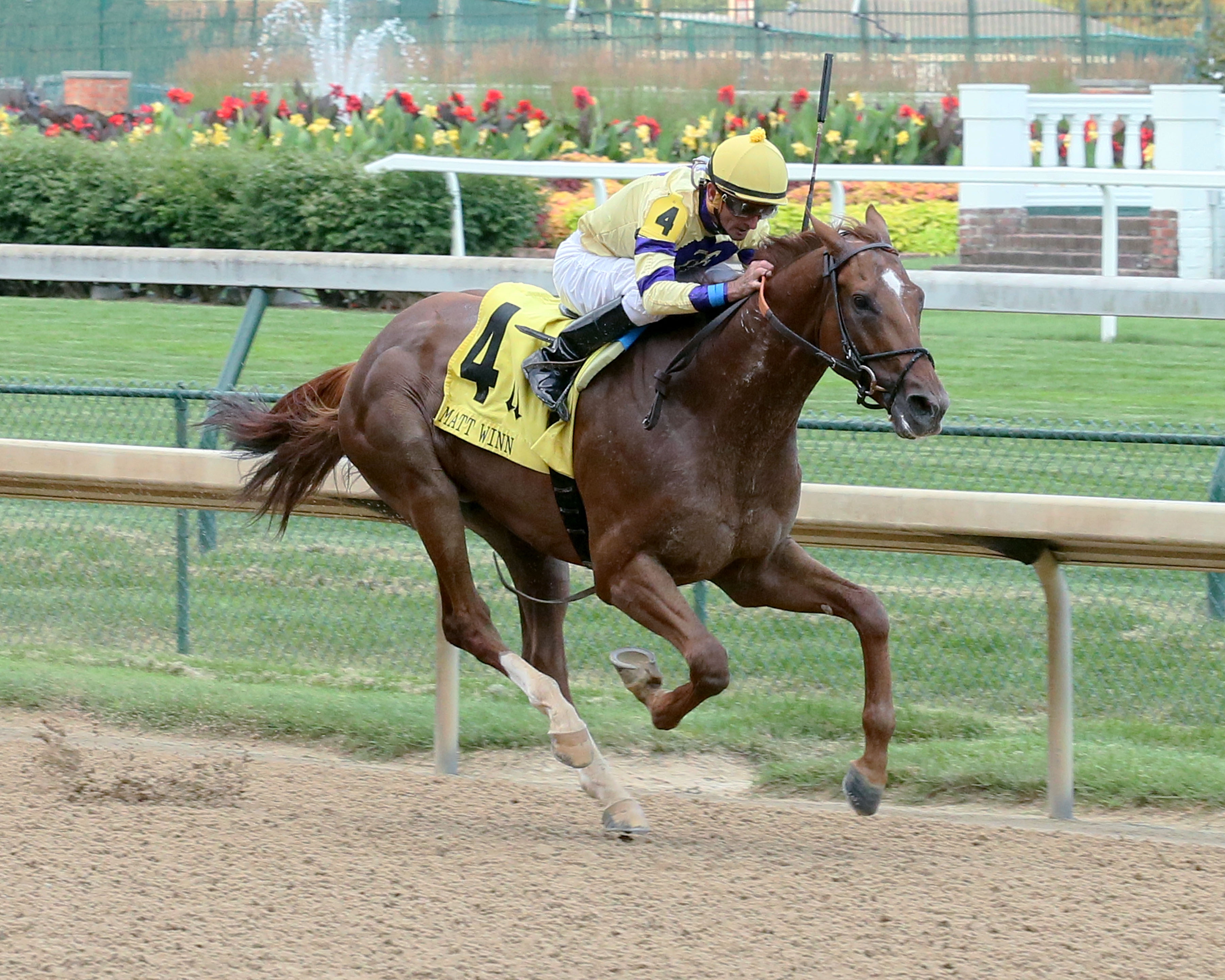 King Zachary wins the 2018 Matt Winn Stakes