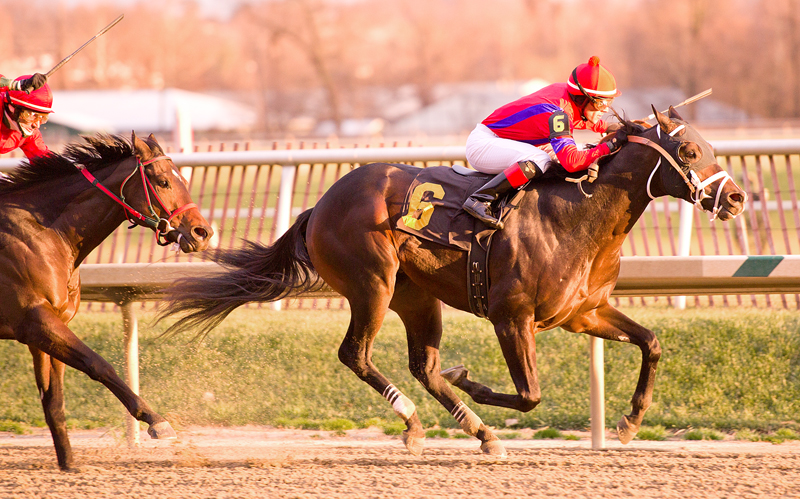 King and Crusader 12-17-2011