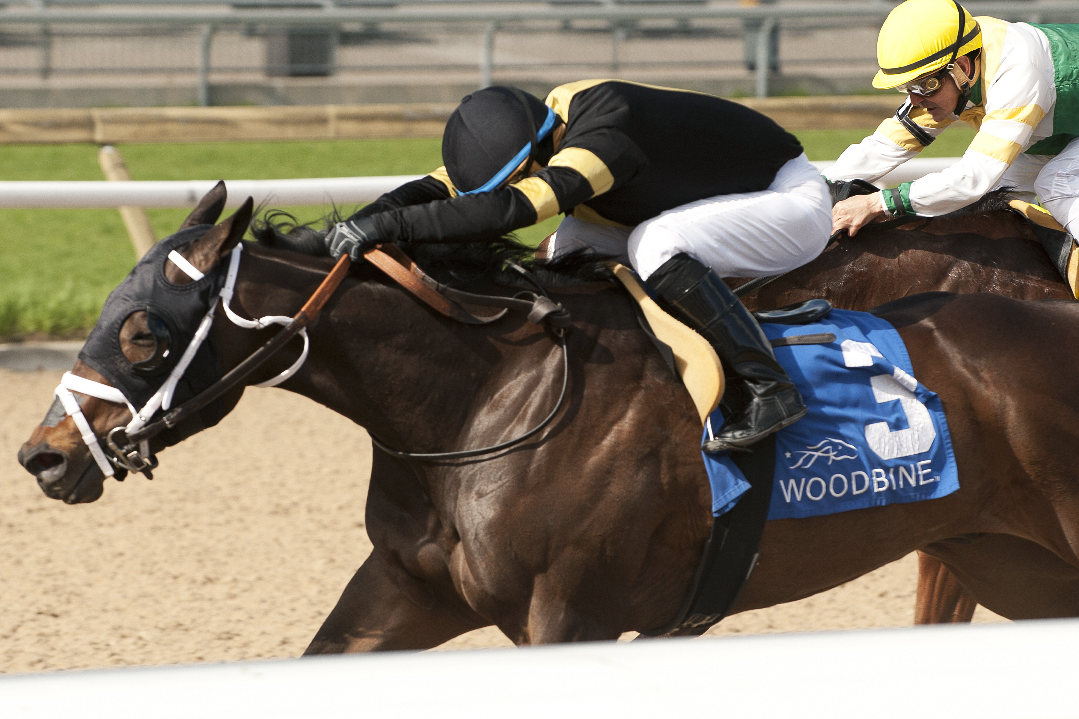 King and His Court wins the Wando Stakes
