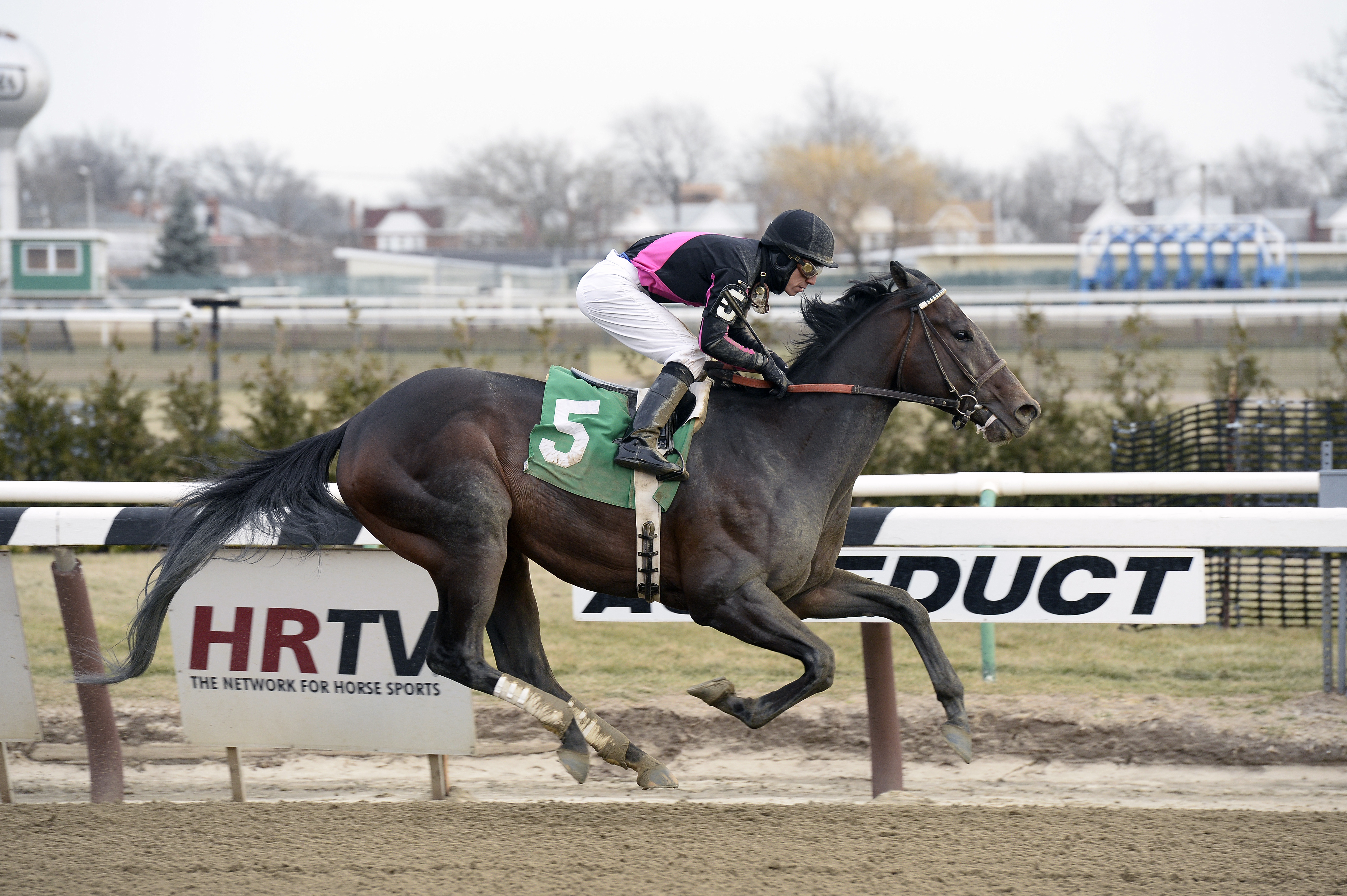 King of Broadway wins a maiden race