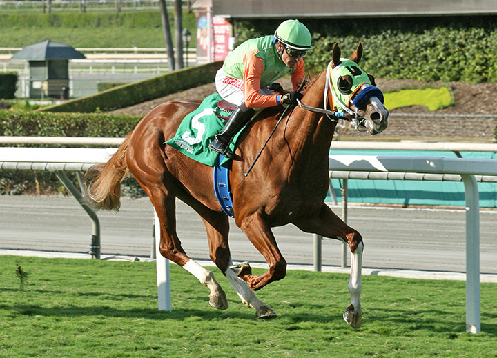 King of Speed wins the Zuma Beach