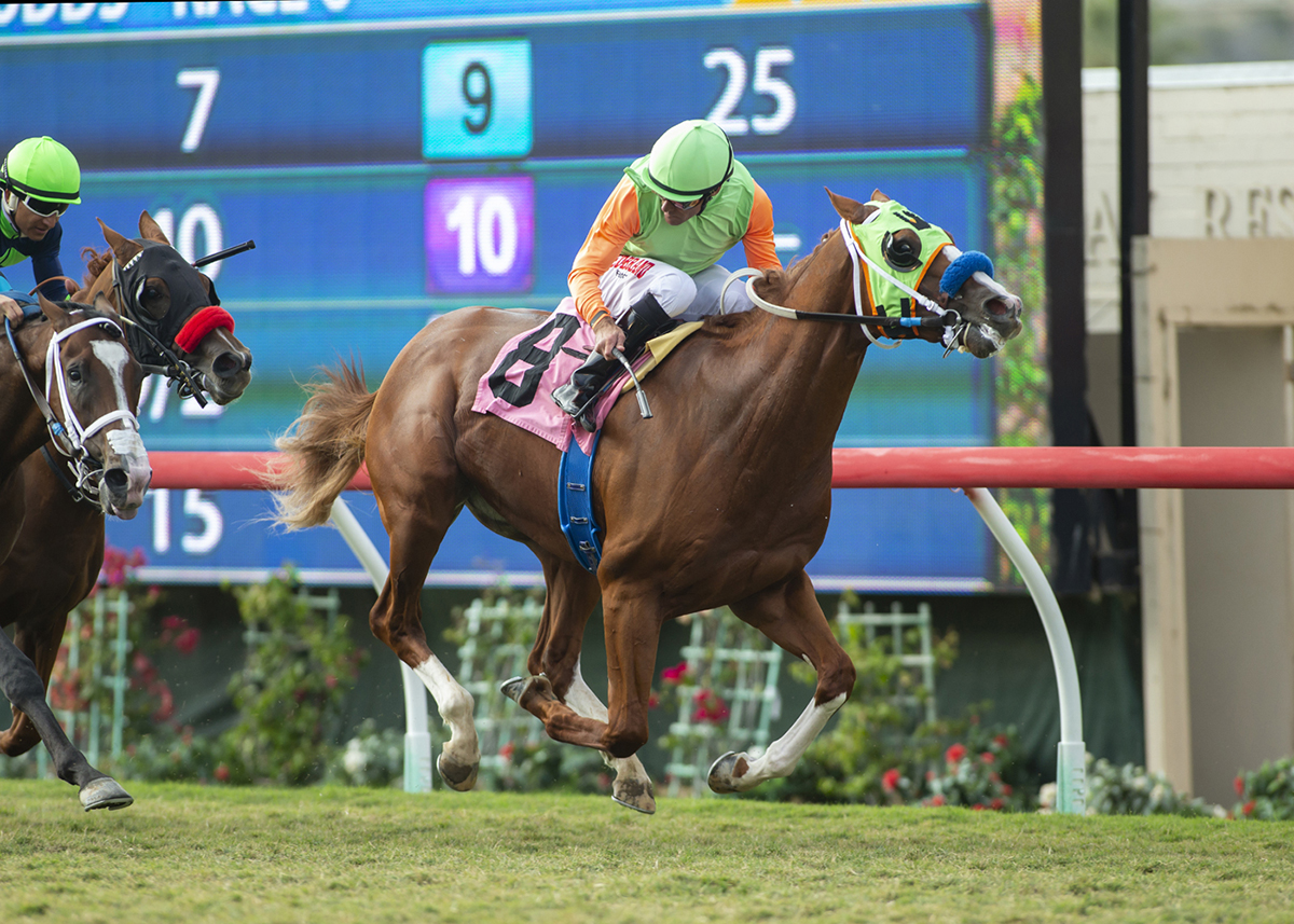King of Speed wins the Del Mar Juvenile