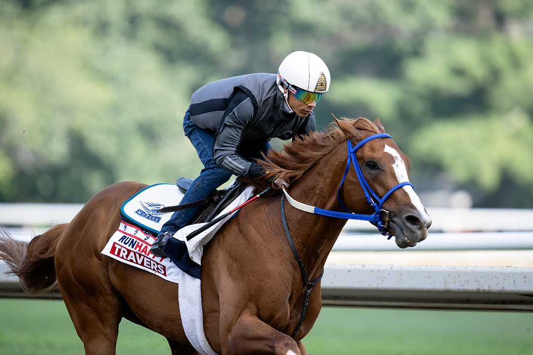 King Fury/Travers Picks