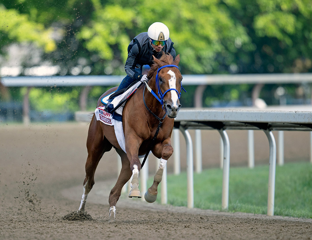 King Fury trains at Saratoga Race Course on Aug. 21