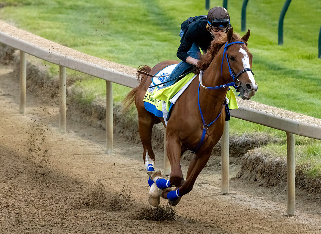 King Fury trains at Churchill on April 24
