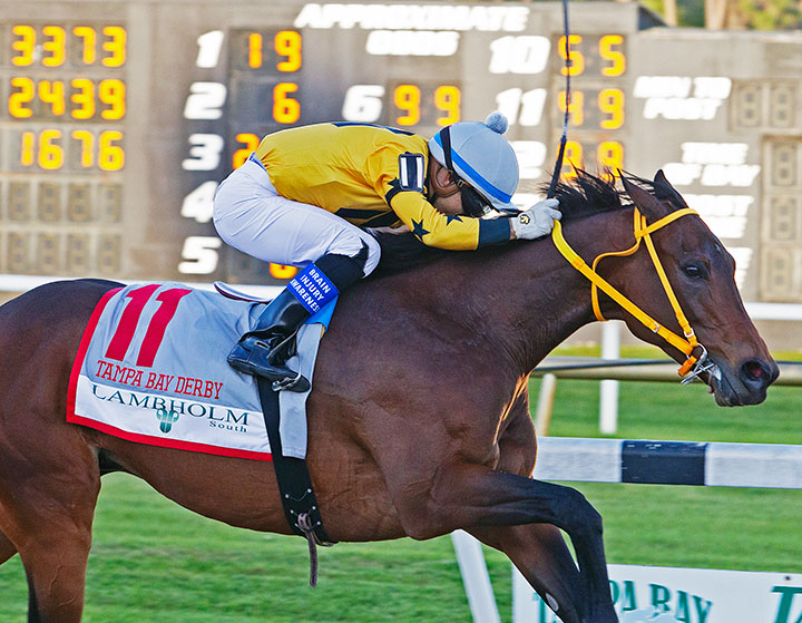 King Guillermo wins the Tampa Bay Derby at Tampa Bay Downs