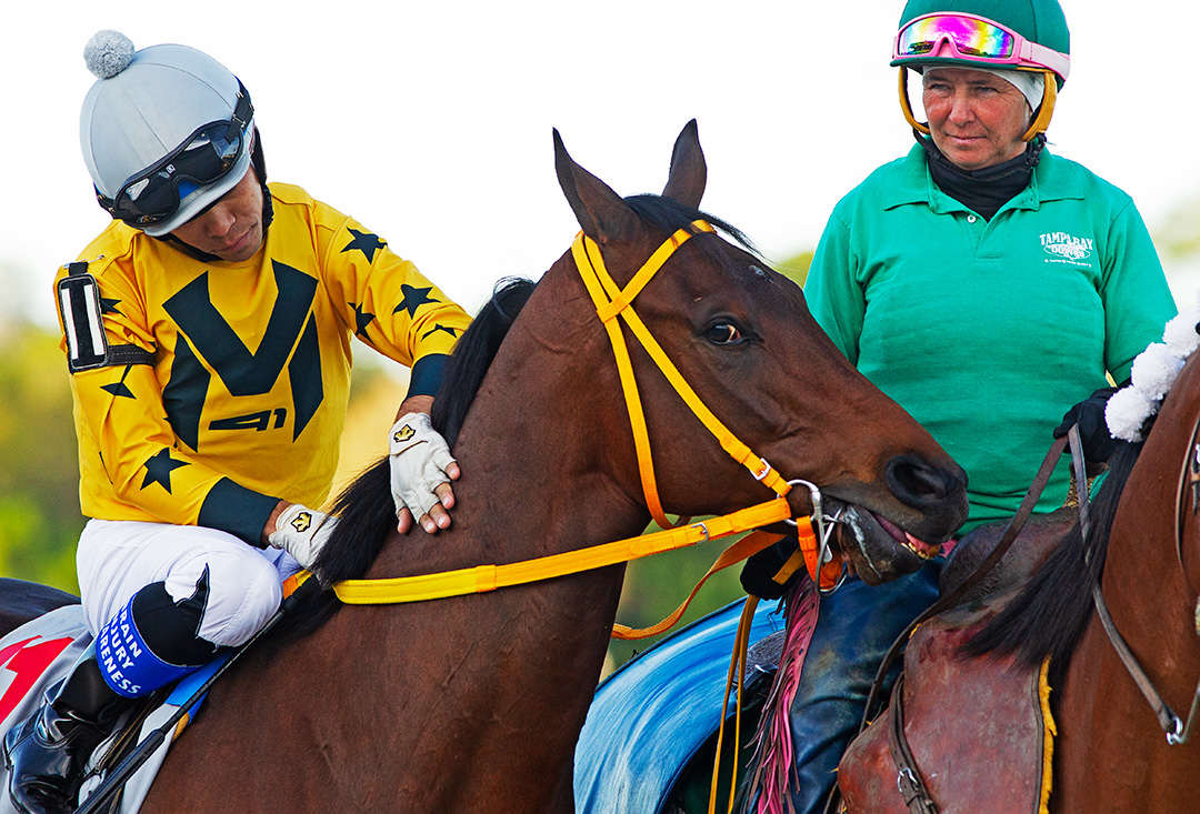 King Guillermo at Tampa Bay Downs