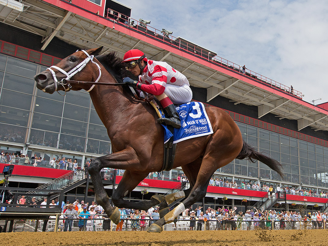 King for a Day wins the 2019 Sir Barton Stakes at Pimlico Race Course