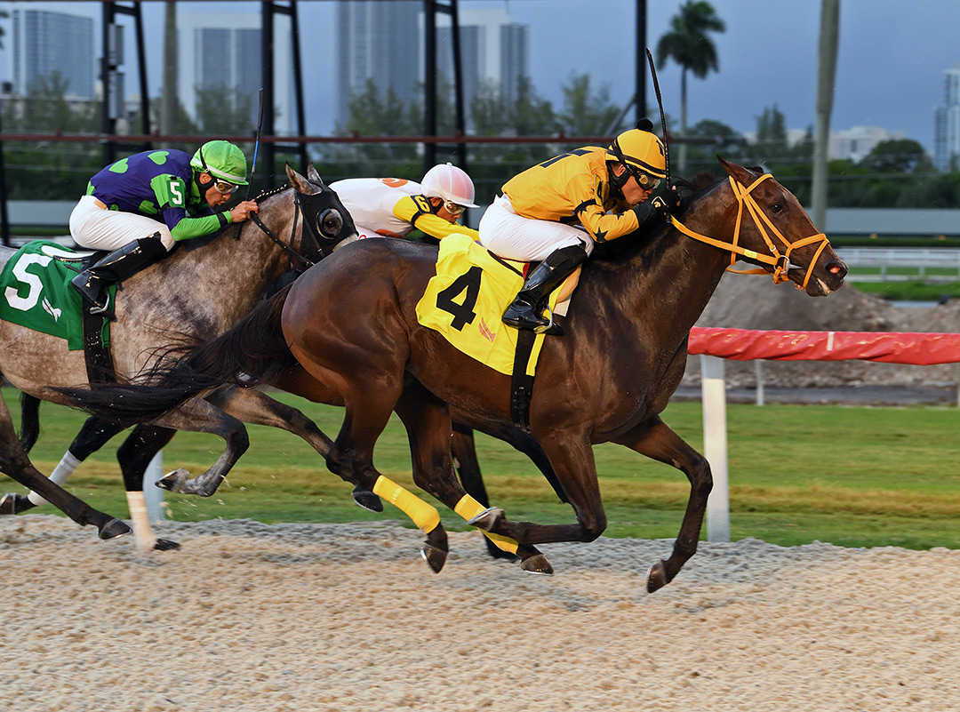 King of Dreams wins the 2021 Oakland Park Handicap at Gulfstream Park