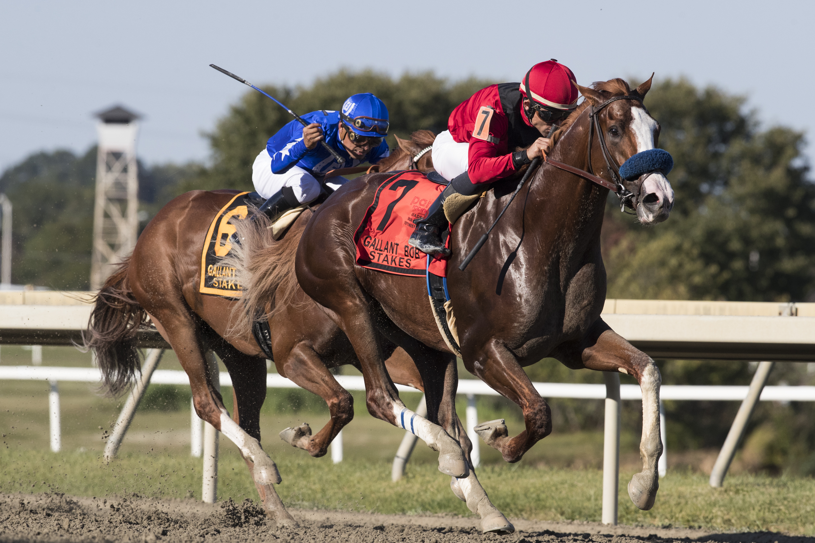 King Jack wins the 2019 Gallant Bob Stakes
