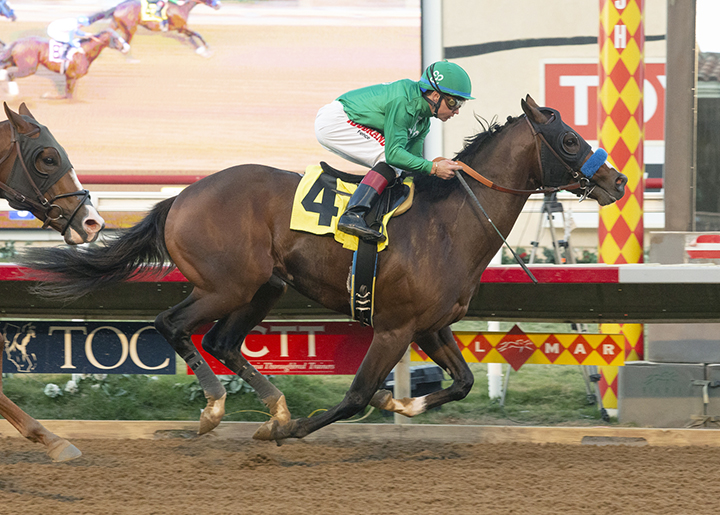 Kingly wins a Dec. 1 maiden race