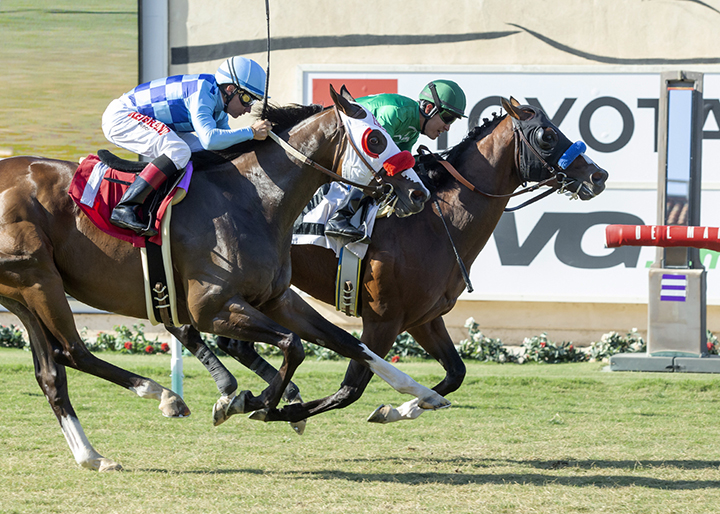 Kingly beats Neptune's Storm in the La Jolla Handicap at Del Mar