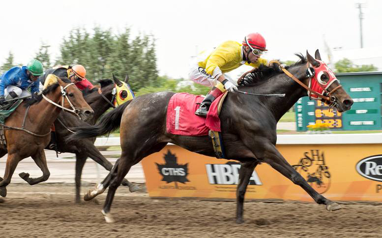 Kingoftherockies wins an optional claiming race