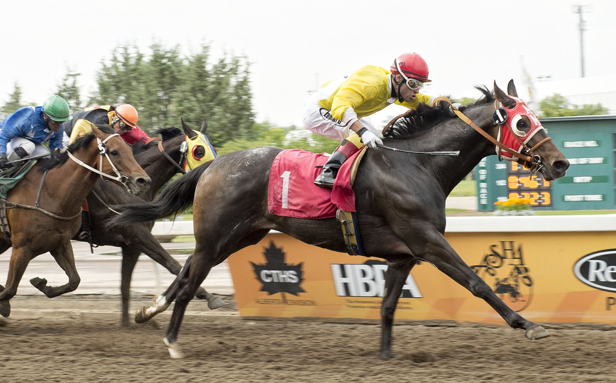 Kingoftherockies wins an optional claimer