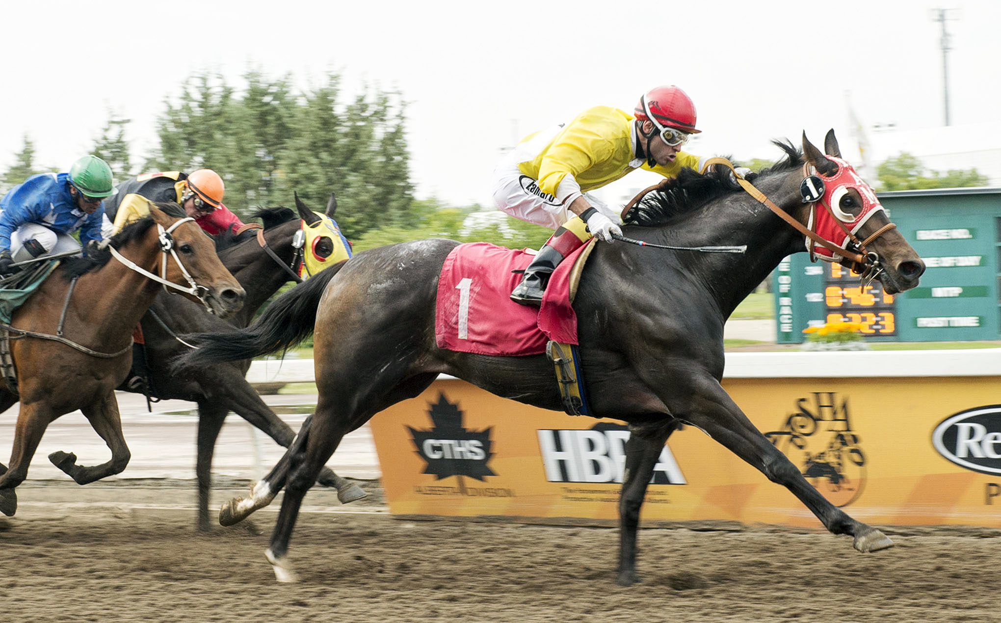 Kingoftherockies wins an optional claimer