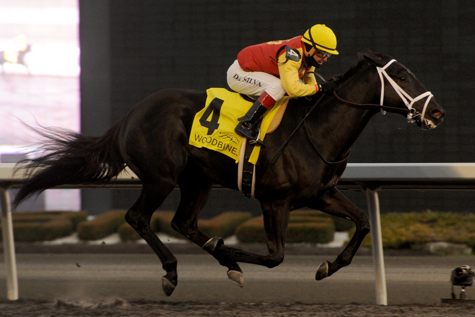Kingsport wins 2014 Kingarvie
