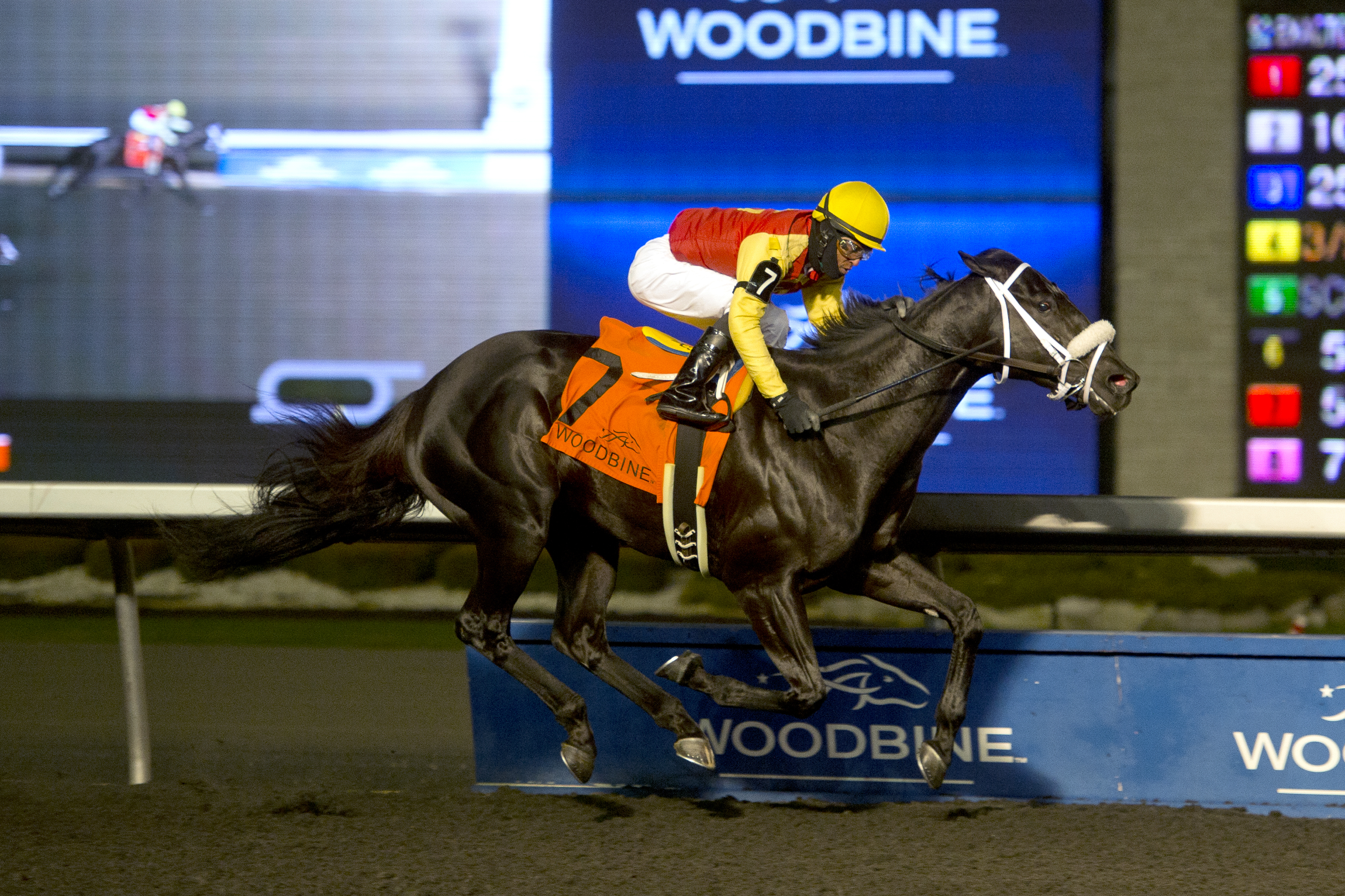 Kingsport wins the 2015 Sir Barton Stakes
