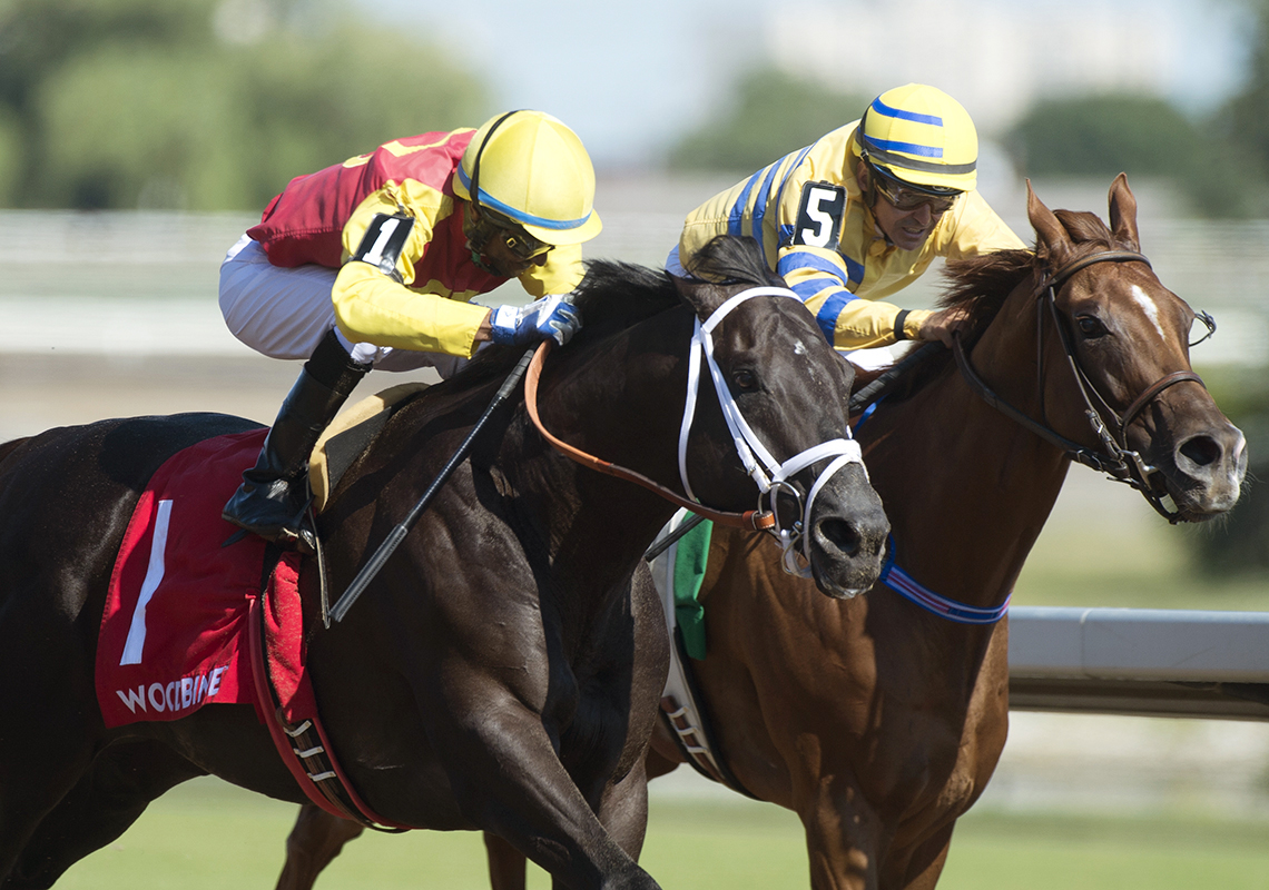 Pink Lloyd finishes third in the 2018 Shepperton Stakes