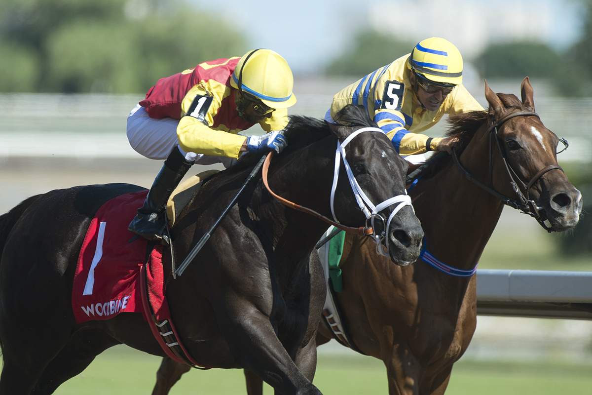 Pink Lloyd finishes third in the 2018 Shepperton Stakes