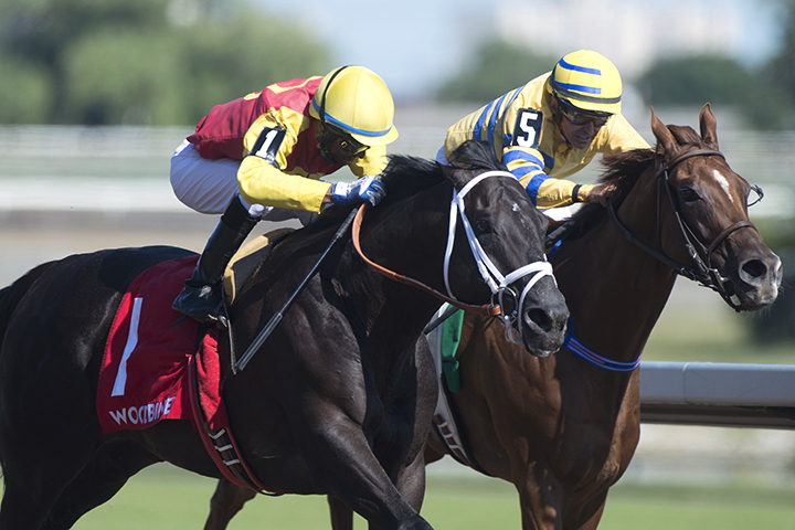 Kingsport beats Pink Lloyd in the Shepperton Stakes