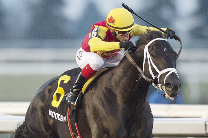 Kingsport wins the 2018 Sir Barton