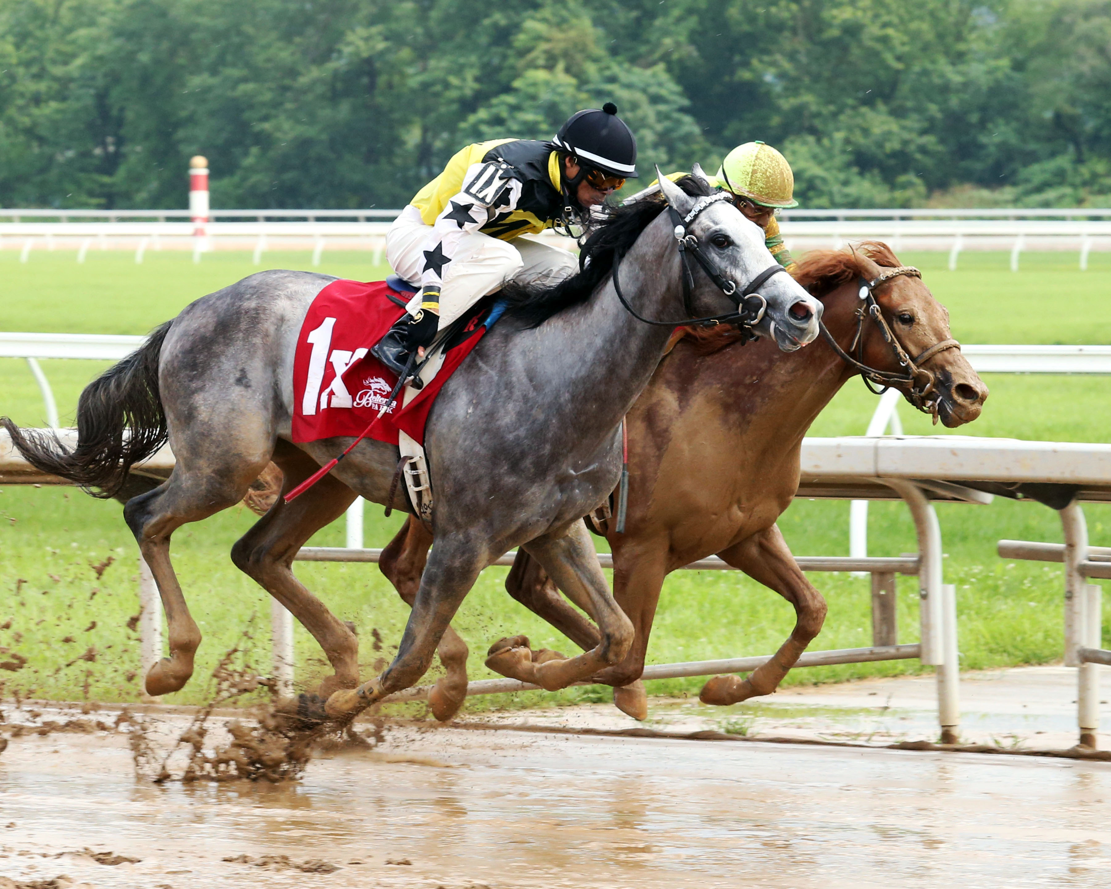 Kiosk's Cause beats Blingitonagain by a nose in the Hoover