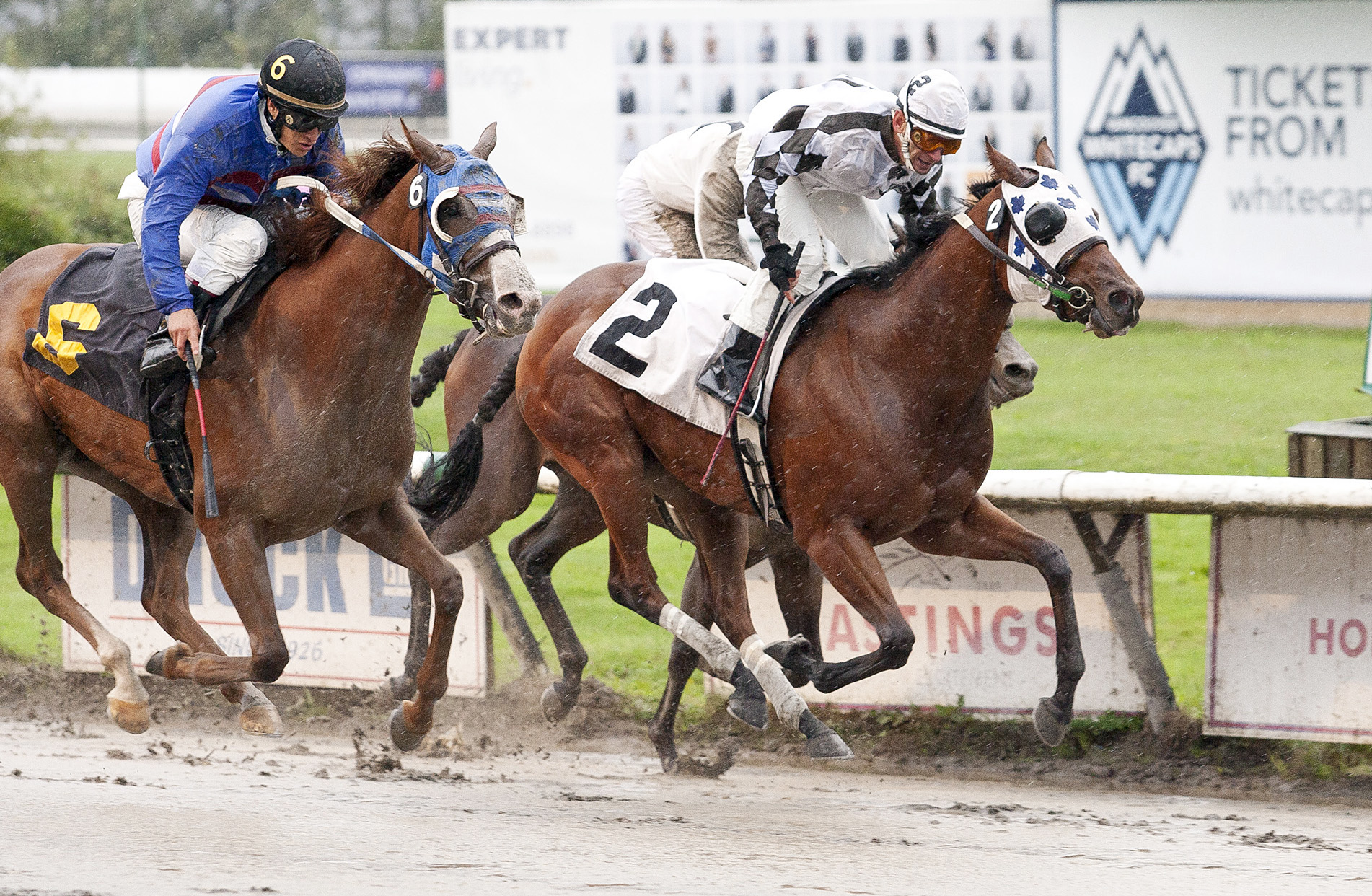 Kiri's Gal wins the 2013 CTHS Sales Stakes at Hastings
