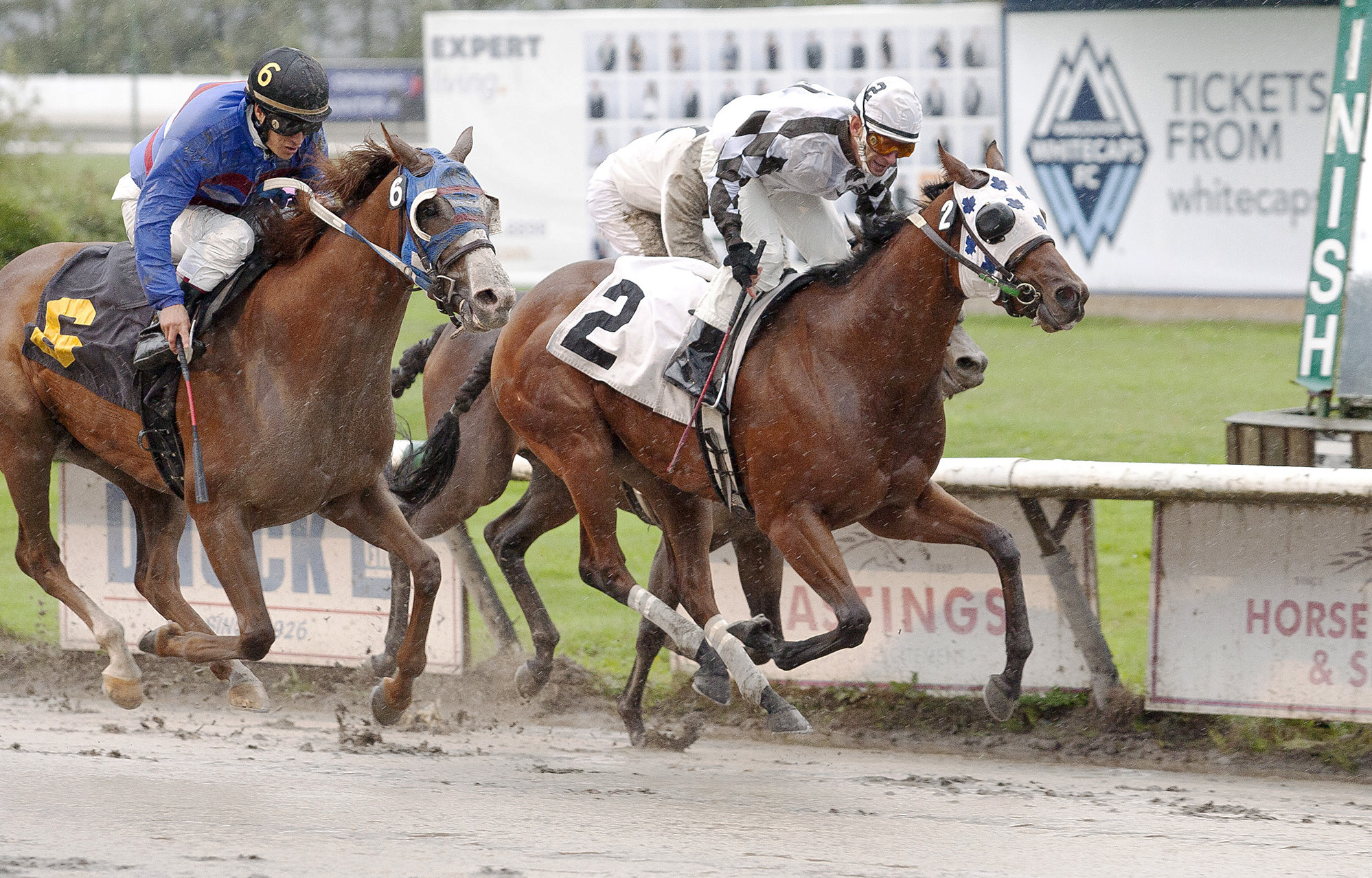 Kiri's Gal winning the 2013 CTHS Sales Stakes