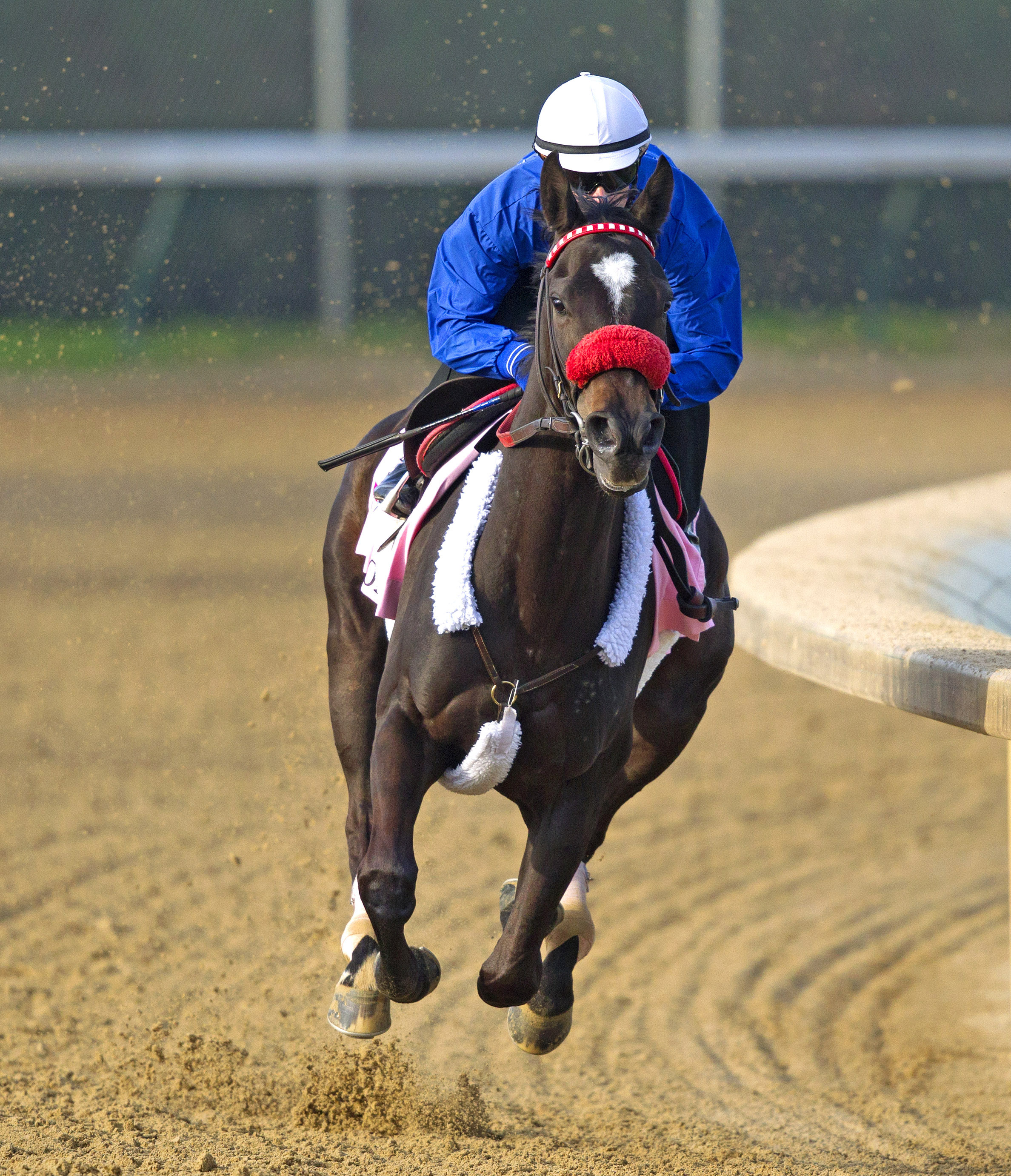 Kiss Moon trains at Churchill in April
