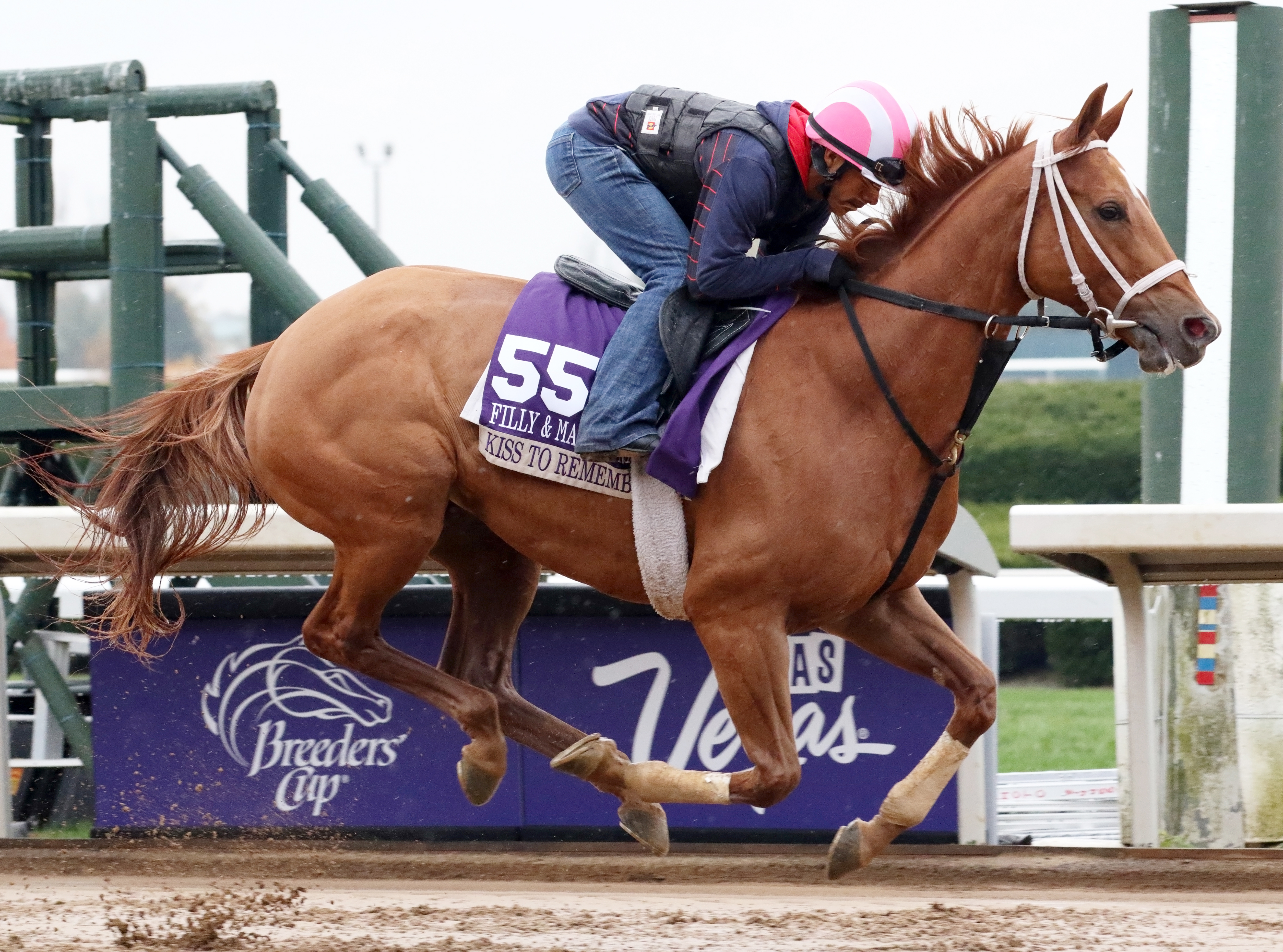 Kiss to Remember trains for the Breeders' Cup