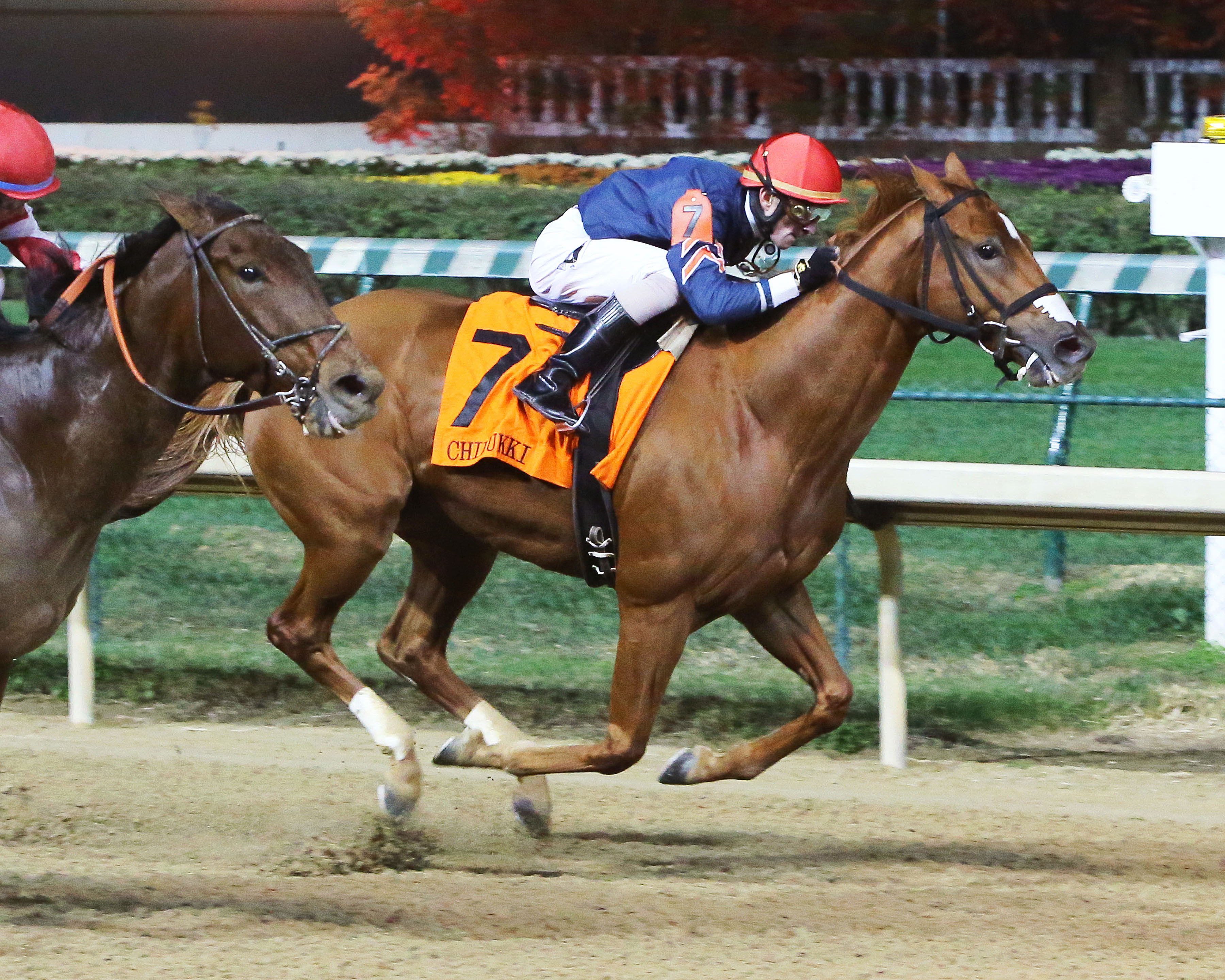 Kiss to Remember wins the Chilukki Stakes