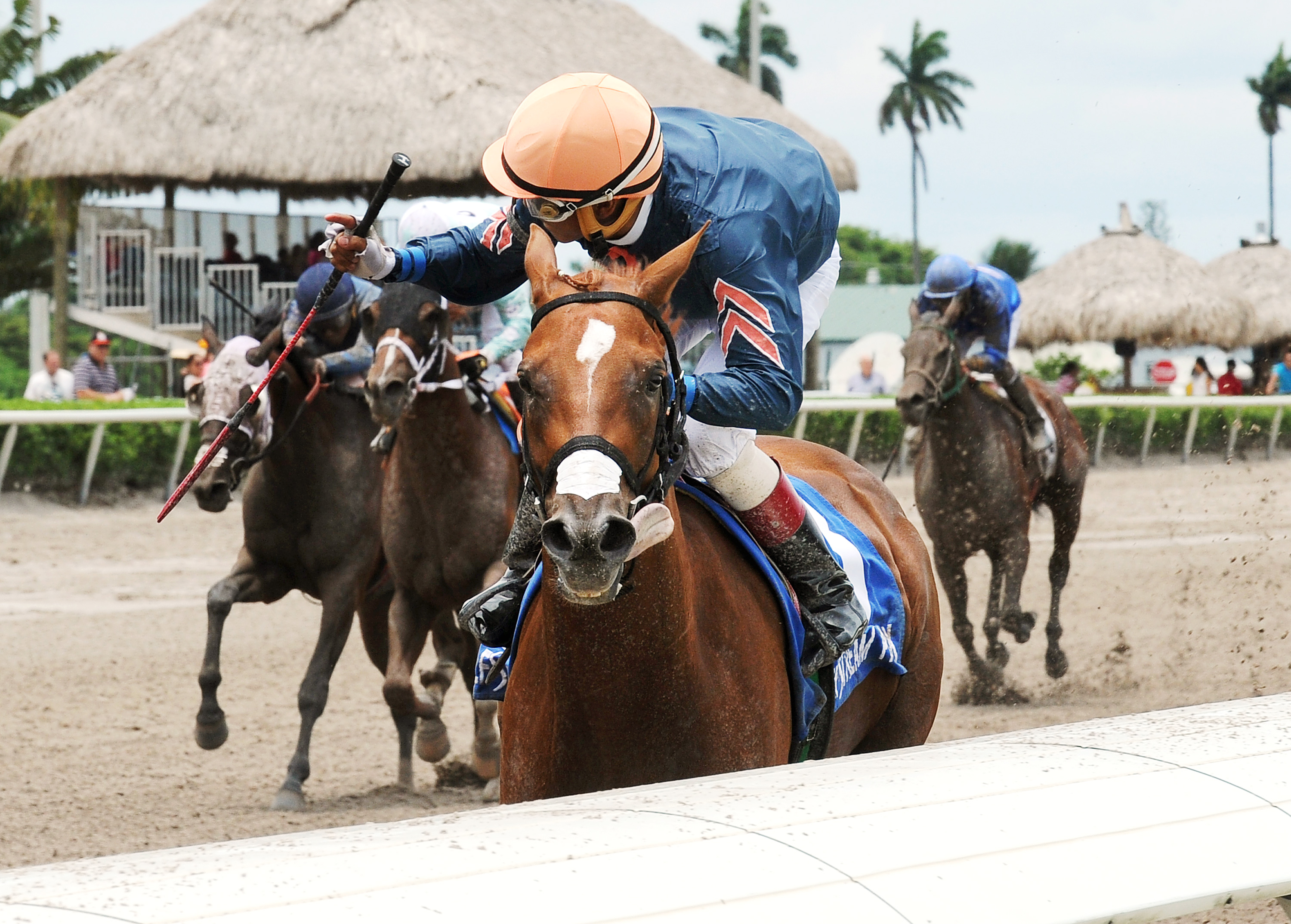 Kiss to Remember wins the Monroe Handicap