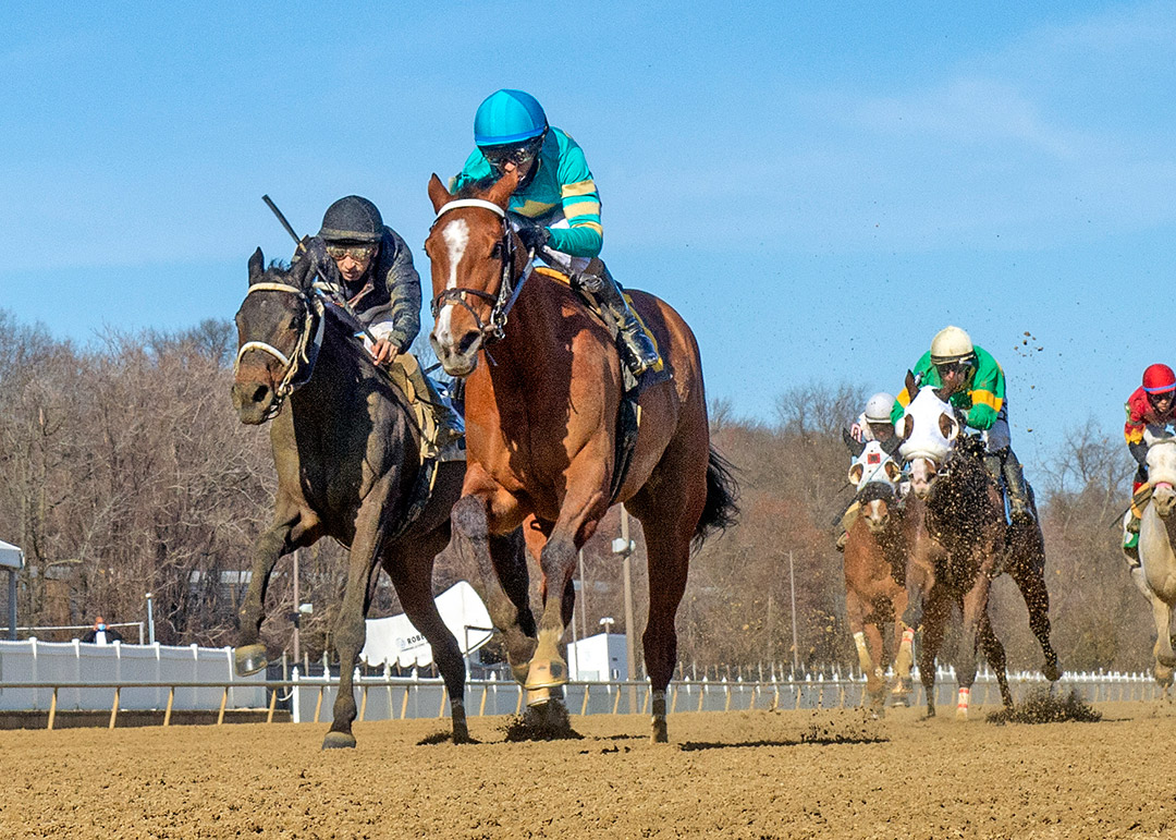 Kiss the Girl wins the 2021 Conniver Stakes at Laurel Park