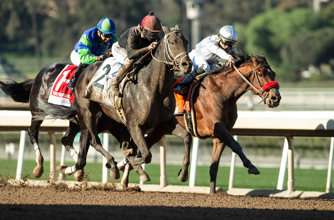 Idol (right) finishes second in the San Antonio Stakes at Santa Anita