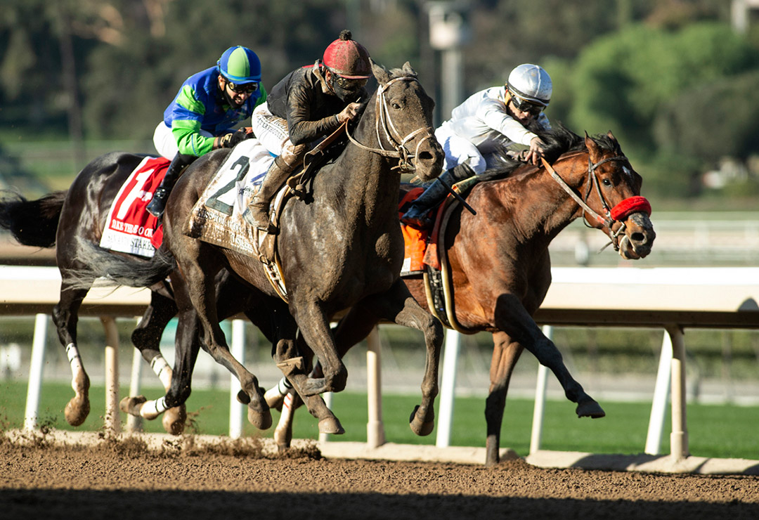 Idol (right) finishes second in the San Antonio Stakes at Santa Anita