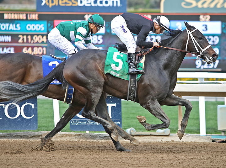 Kiss Today Goodbye wins a Feb. 22 maiden race at Santa Anita Park