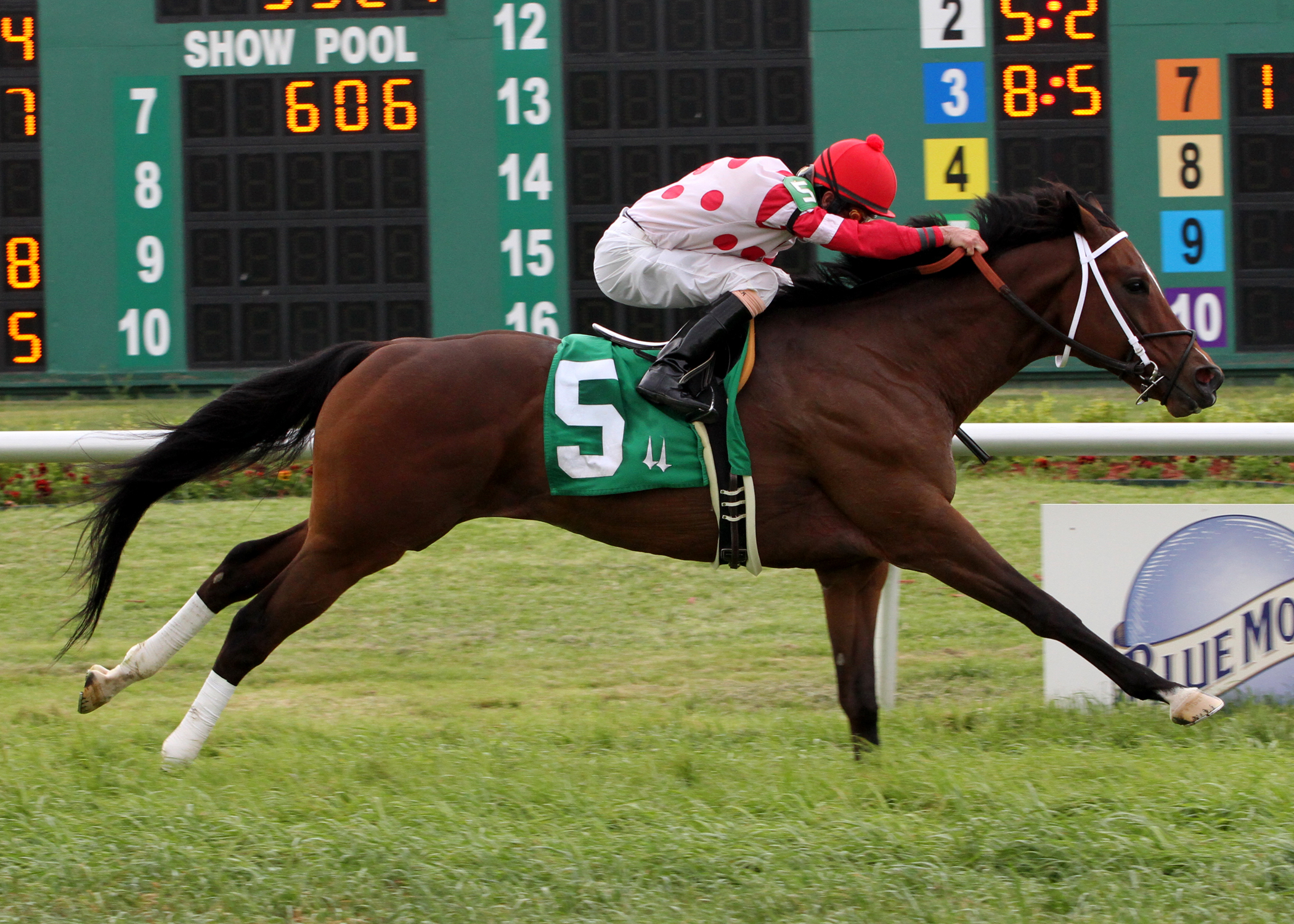 Kissimmee Kyle/Bayou St. John Stakes