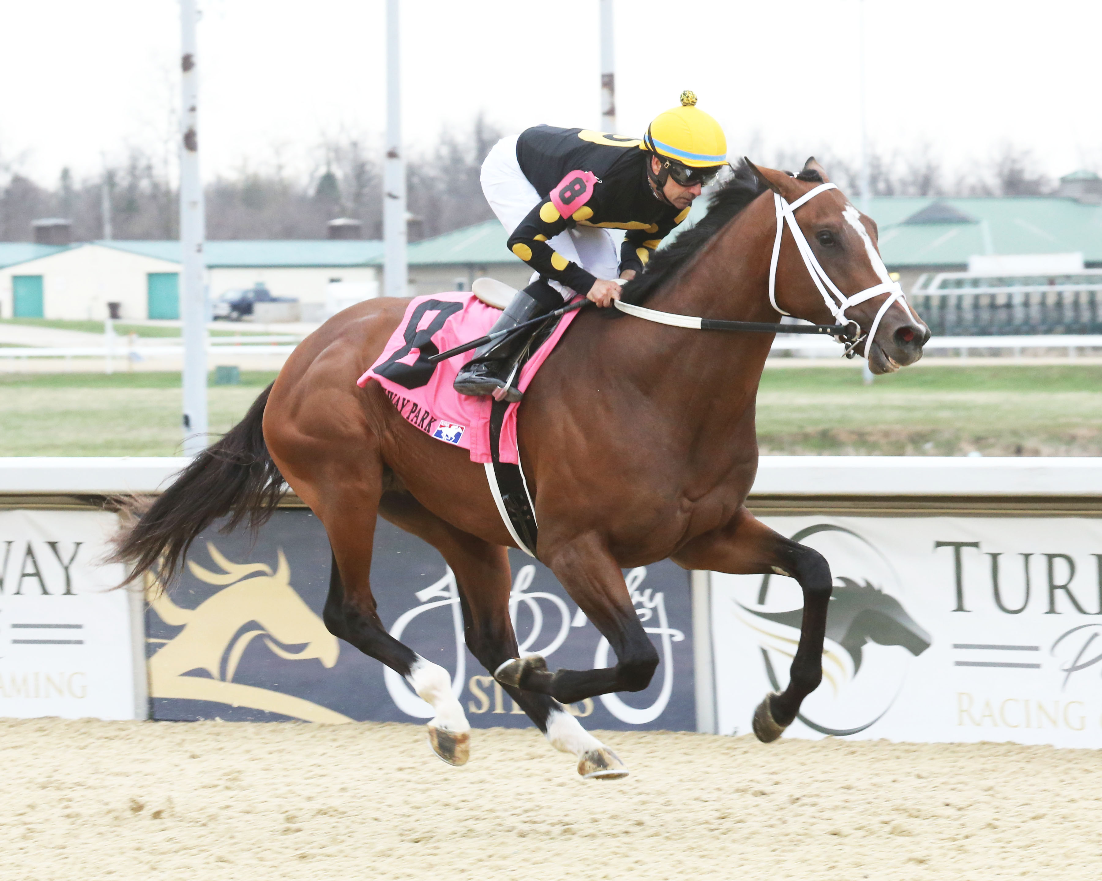 Kitodan, Rushaway Stakes