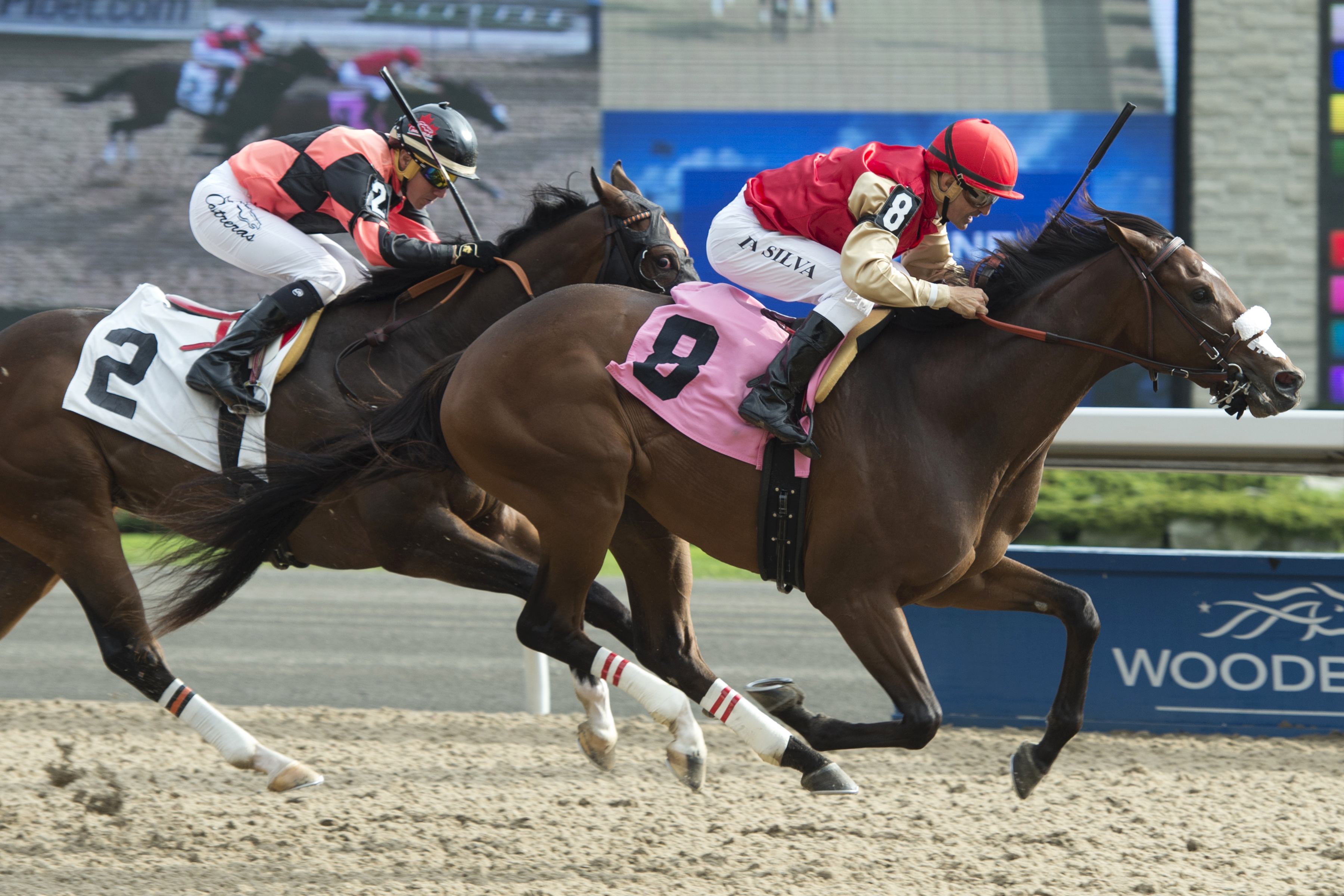 Kitten's Boy wins an Oct. 14 maiden race