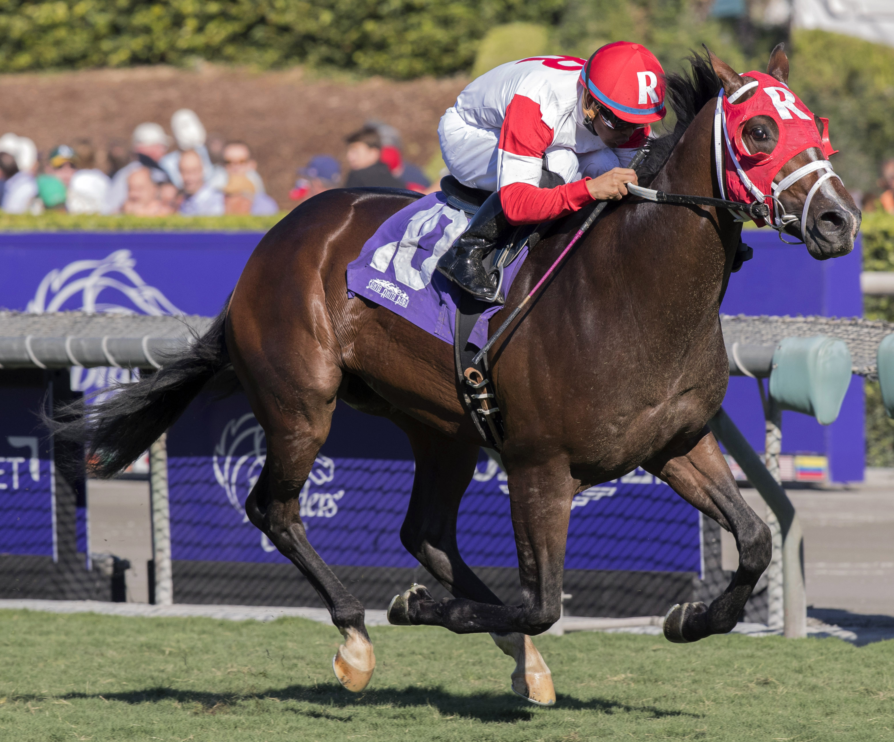 Kitten's Cat wins the Juvenile Turf Sprint
