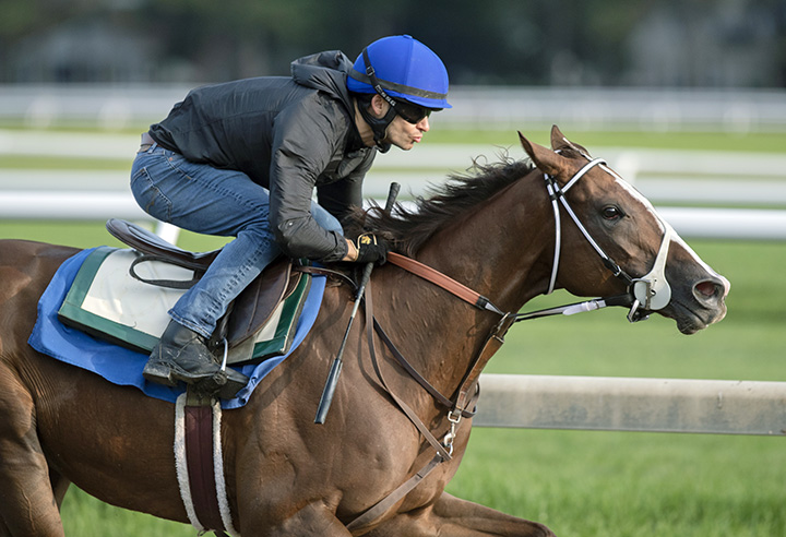 Kitten's Covergirl trains at Saratoga Race Course on Aug. 19