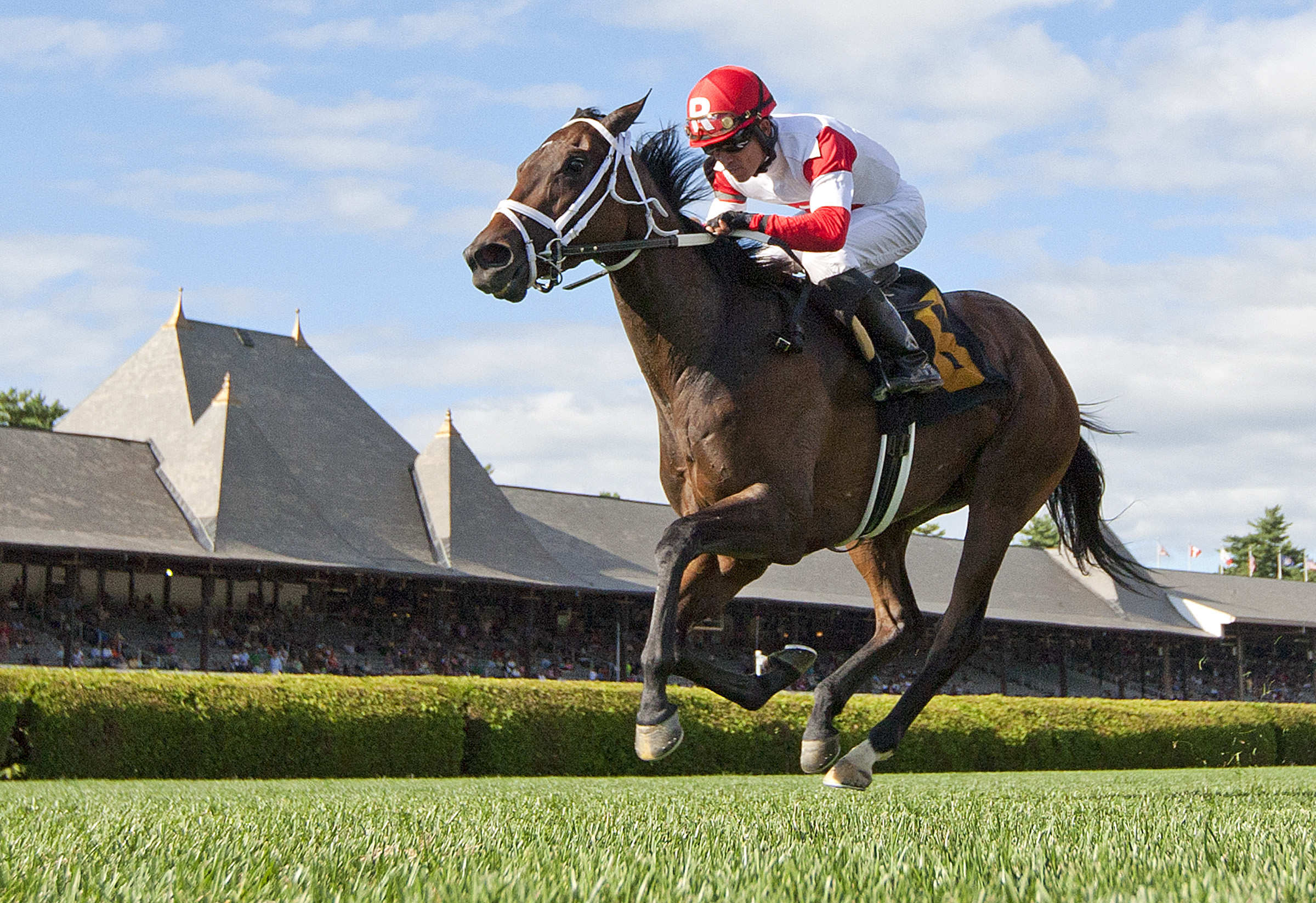 Kitten's Dumplings wins the Lake George Stakes